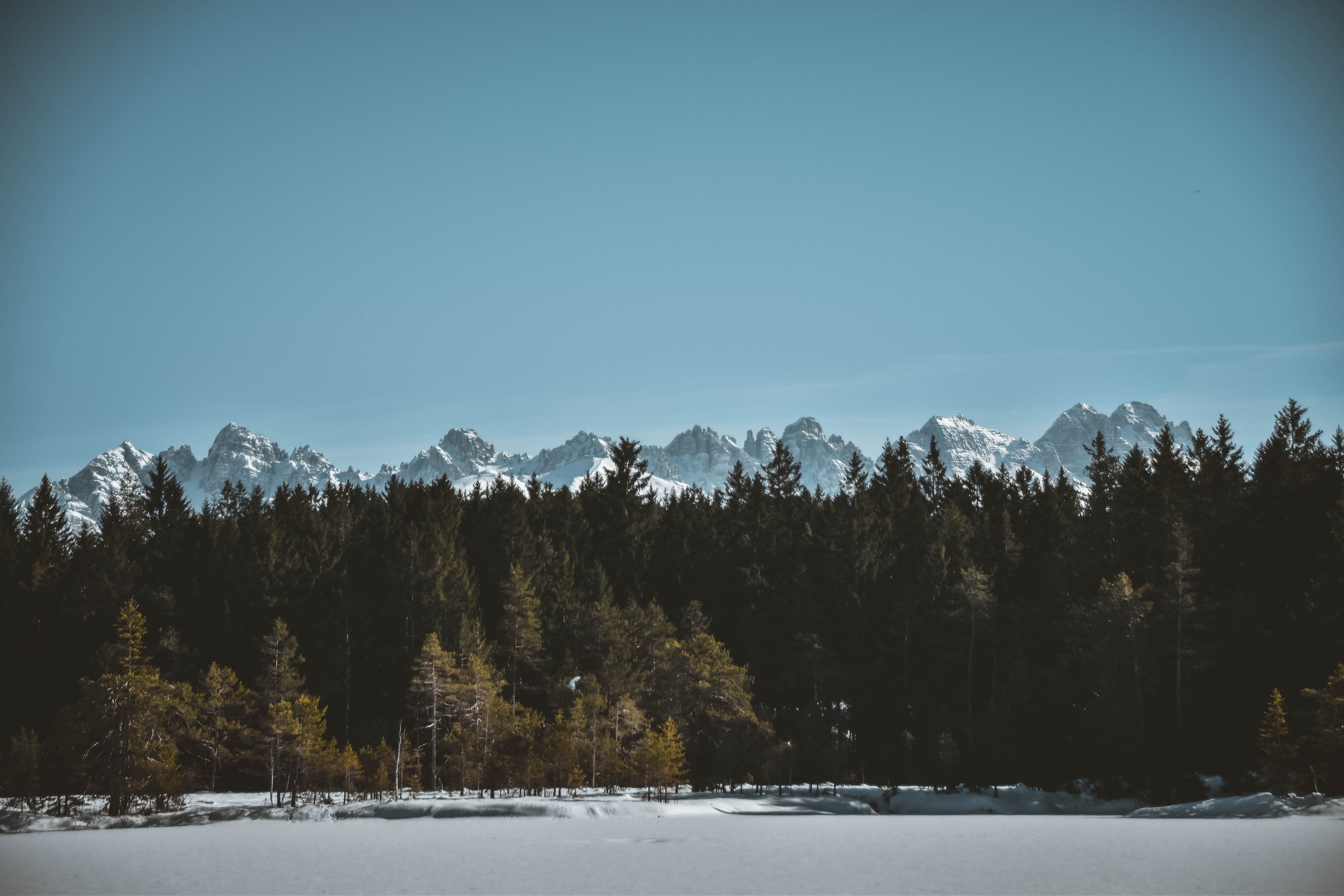 pine, beauty in nature, no people, blue, nature, lake, mountains, winter, 5K, cold, christmas, land, background, 4k, cold temperature, snowy, snowcapped mountain, HD Wallpaper