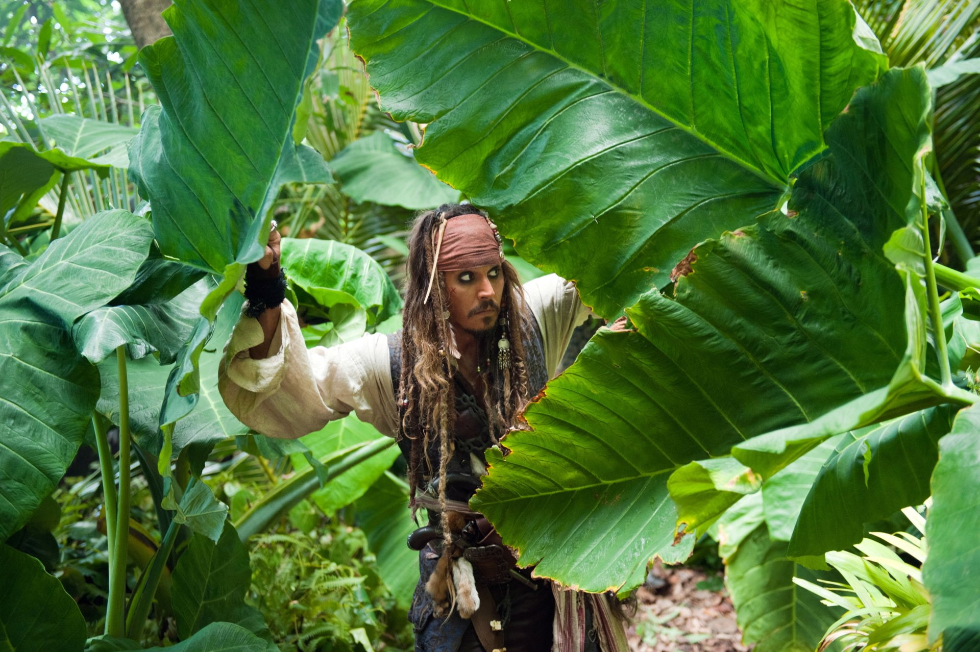 Pirates Of The Caribbean, front view, hair, Movie, outdoors, plant, Johnny Depp, tree, looking at camera, leaf, hairstyle, 1080P, green color, Jack Sparrow, HD Wallpaper