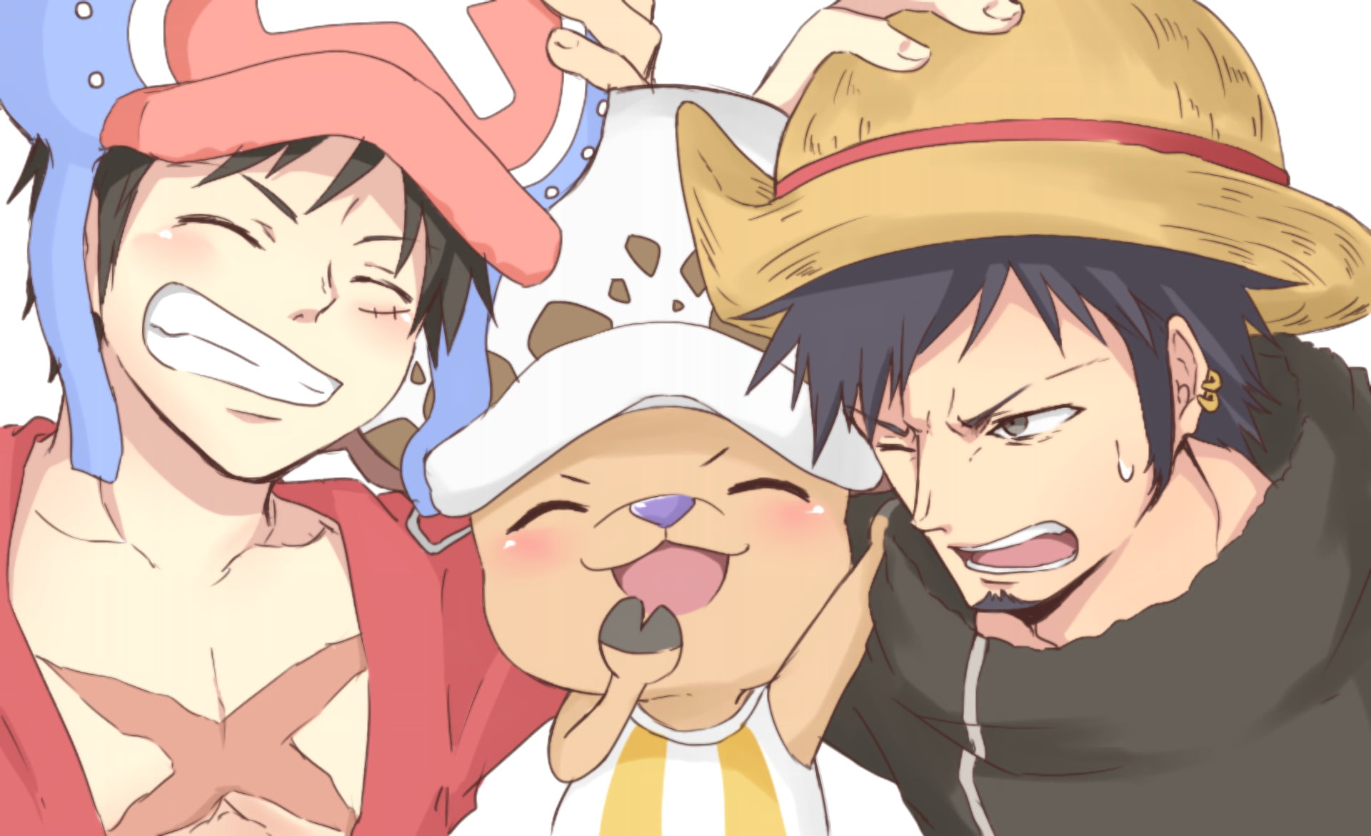 1080P, One Piece, Anime, Monkey D. Luffy, Trafalgar Law, Tony Tony Chopper, HD Wallpaper