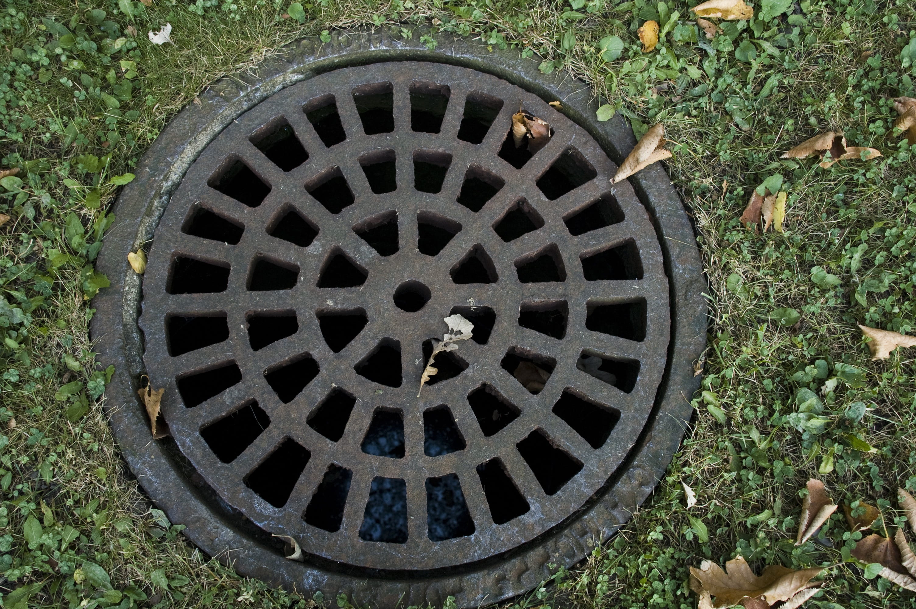 directly above, hole, drain, wheel, sewage, top, plant, access-chamber, heavy, circle, Steel, gutter, 2K, land, grid, round, manhole, nature, utility-hole, HD Wallpaper