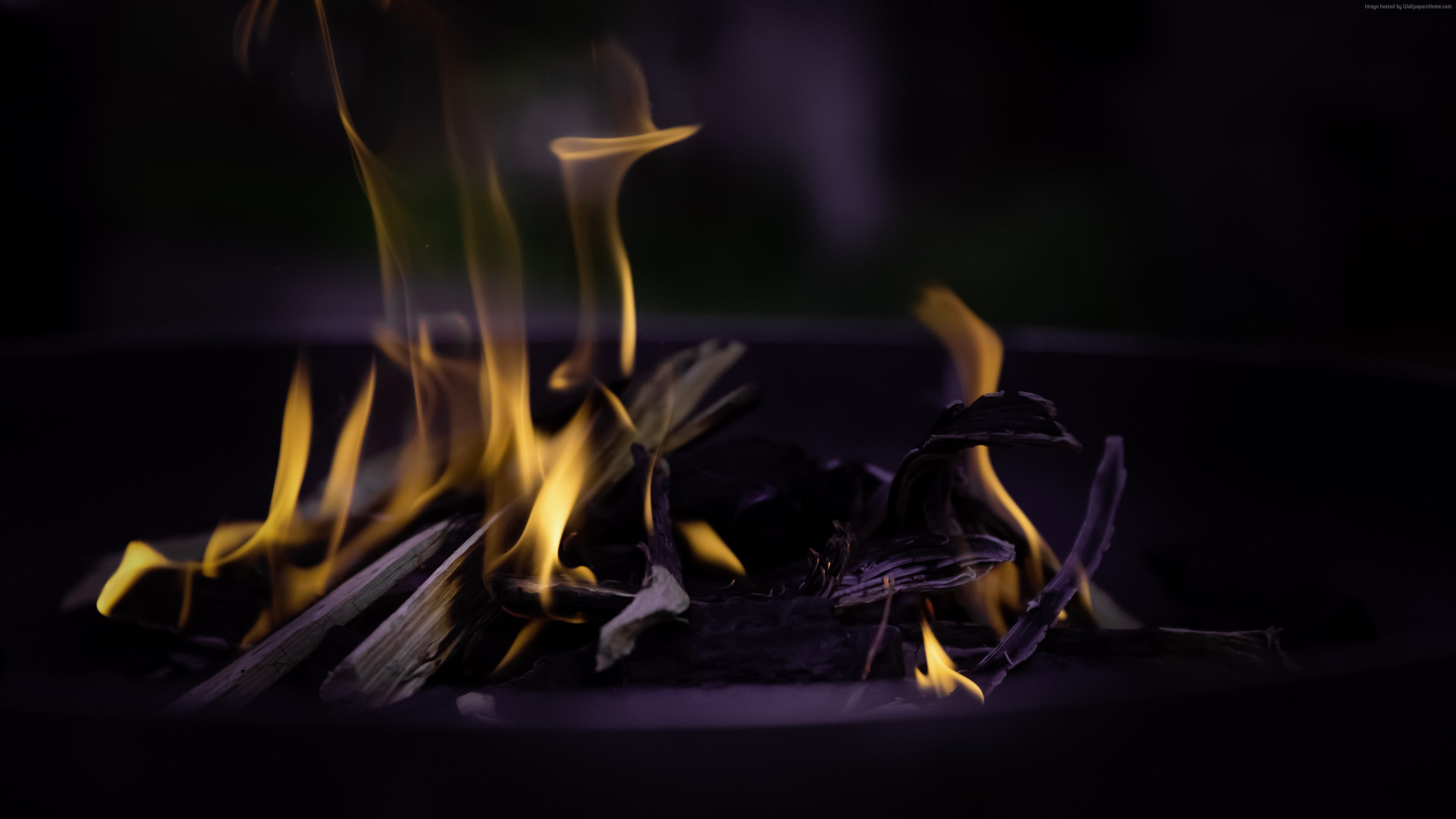 ultra hd, 4k pics, macro, 4K, flame, bonfire, fire, HD Wallpaper