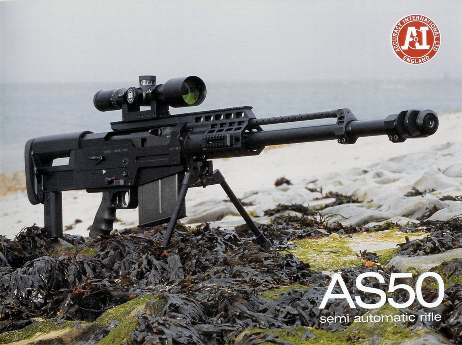 as50, 720P, semi auto, rifle, 1600x1194, accuracy, bmg, international, HD Wallpaper