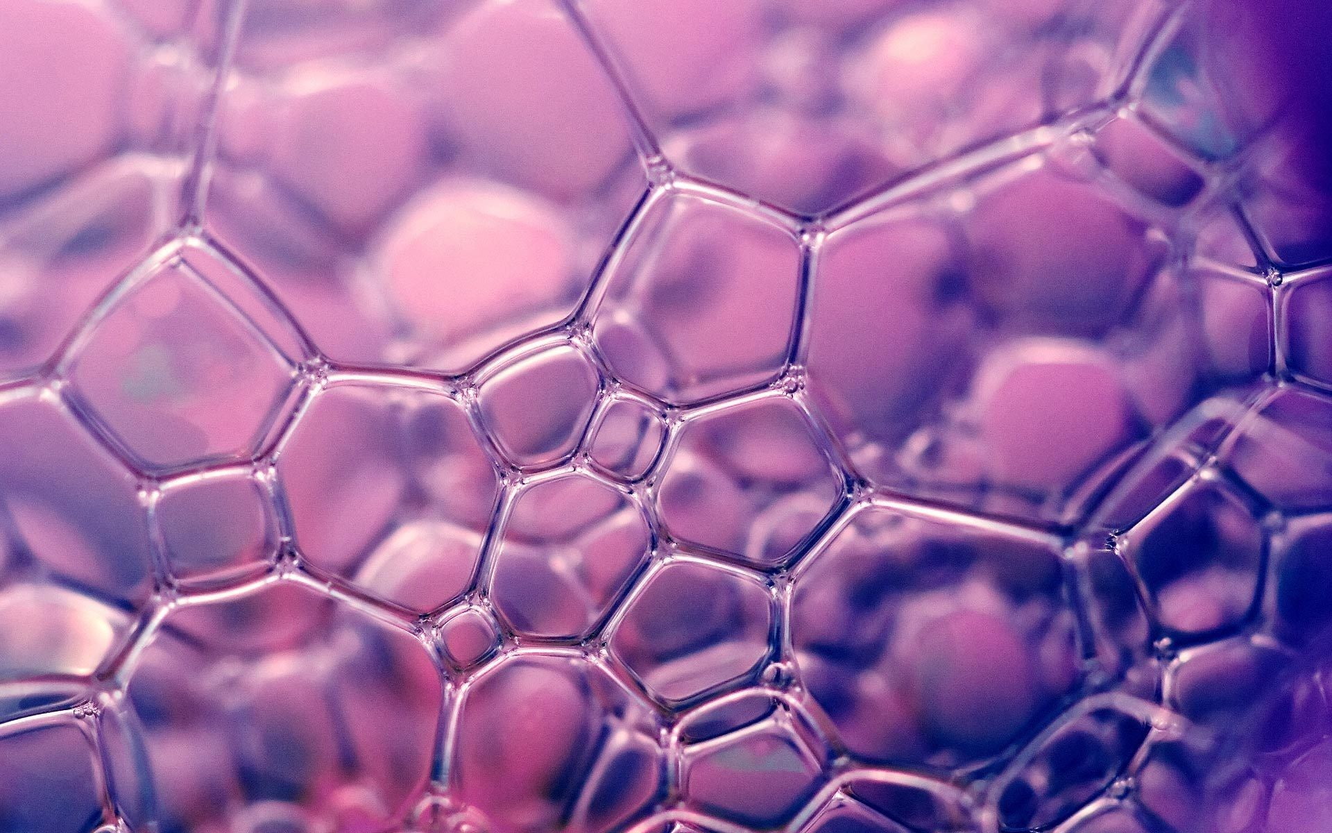 abstract, macro, soap, pattern, bubbles, 1080P, HD Wallpaper