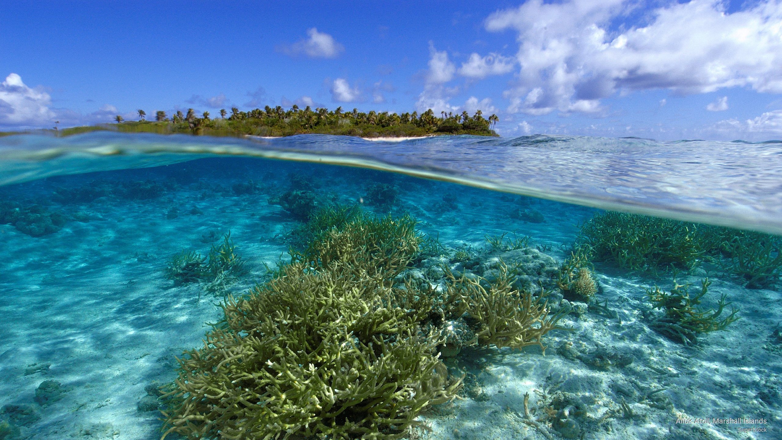 islands, Ocean Life, atoll, 2K, marshall, ailuk, HD Wallpaper