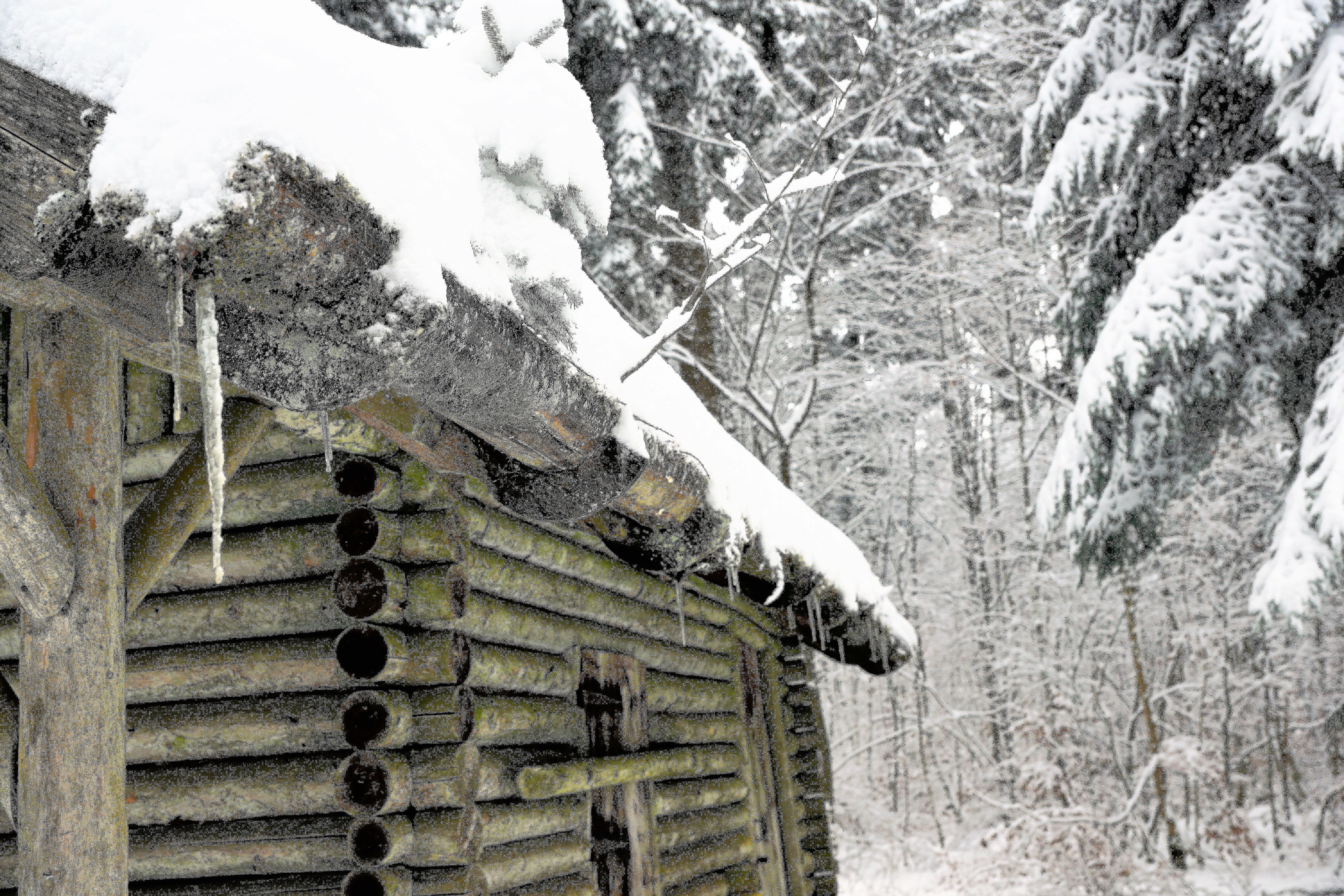 design type, house, roadway, rest, recovery, 5K, meditation, germany, village, branch, outdoors, nature, snow, land, road, covering, relaxation, places of interest, HD Wallpaper