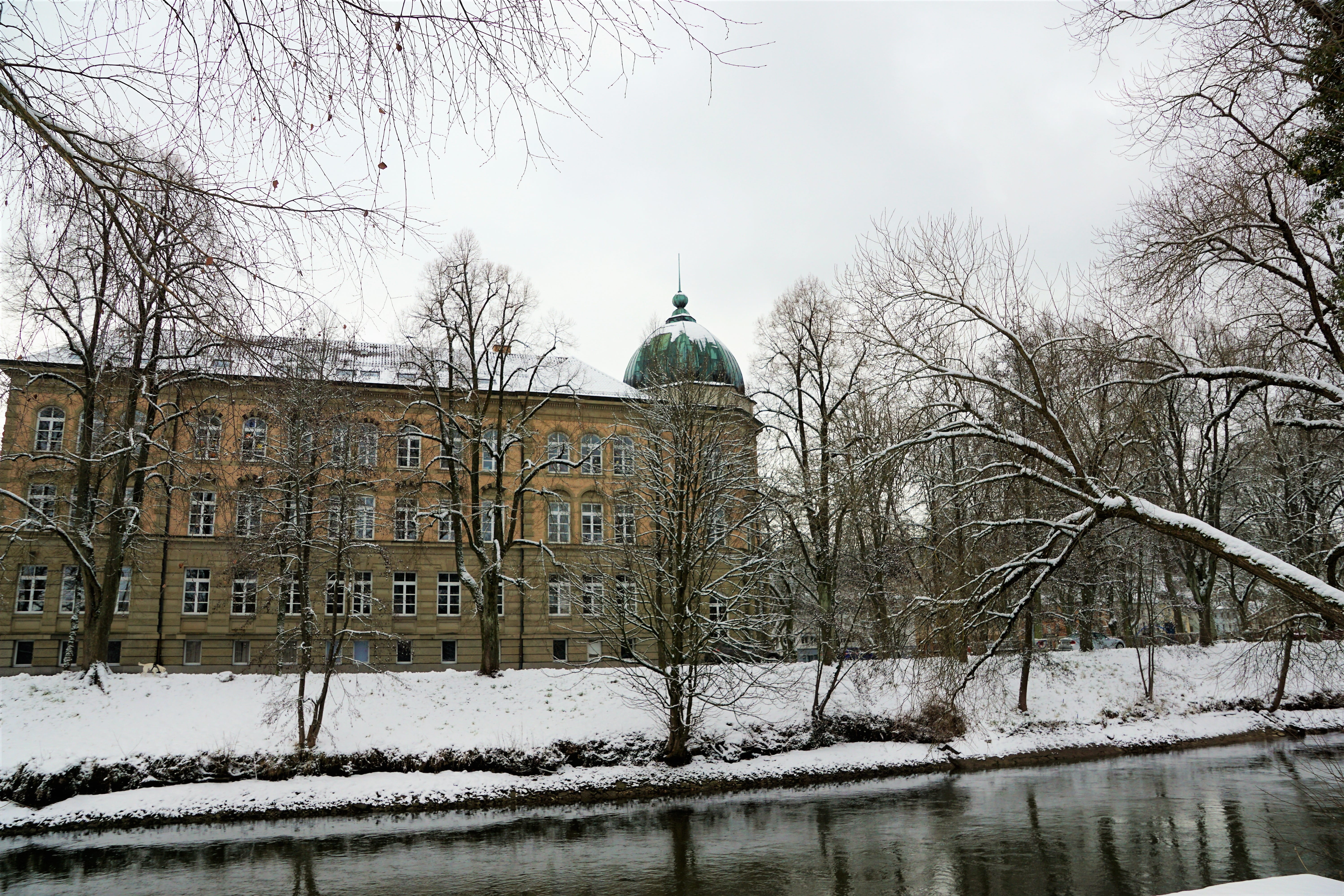 bare tree, building, travel, architecture, south, rest, ice, park, river, spirituality, house, history, built structure, water, business, office, donauwelle, HD Wallpaper