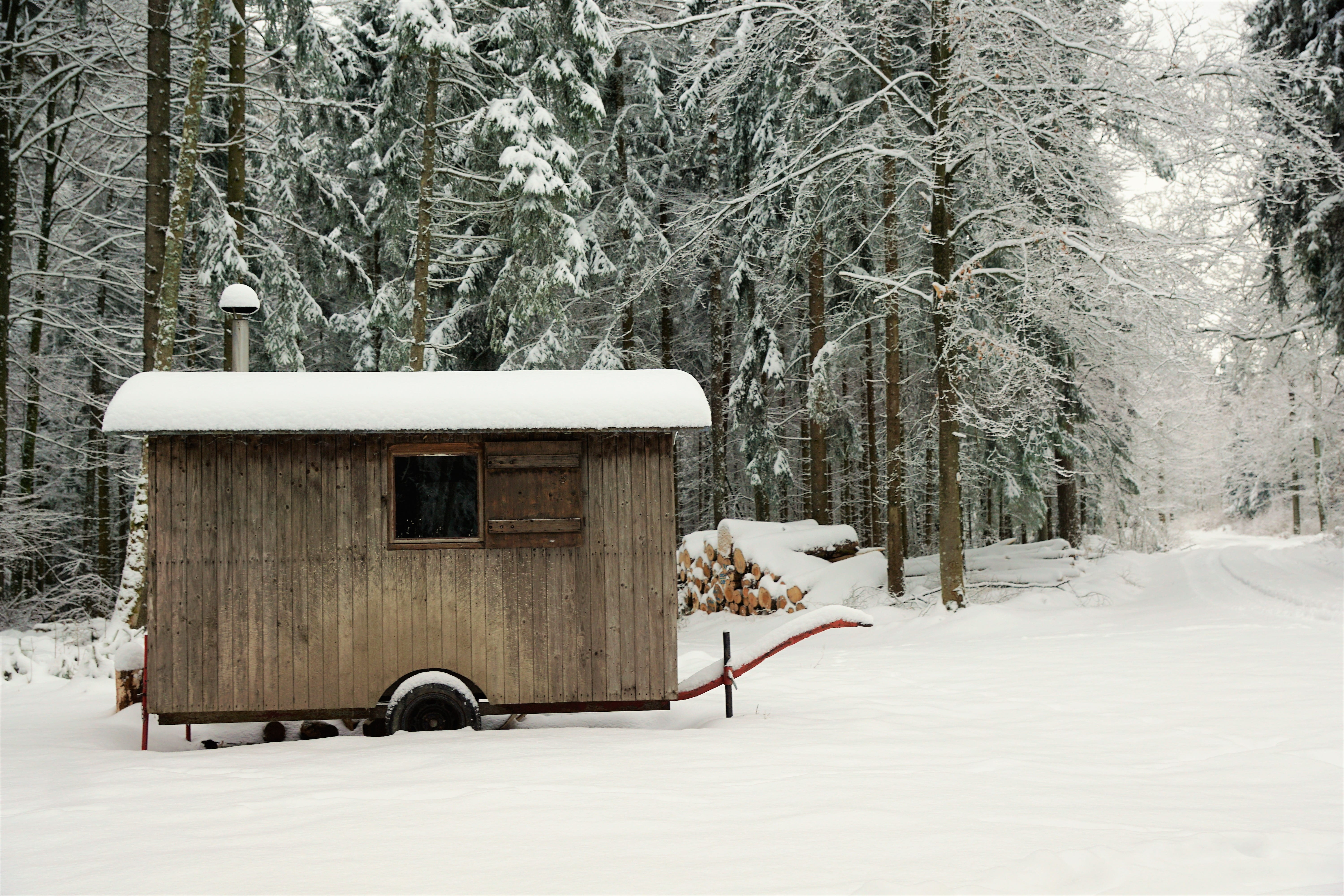 dream, old, fog, december, architecture, holiday, rest, emmingen, day, snowy, russian, ice, season, building, meditation, tree, branch, land vehicle, white color, HD Wallpaper