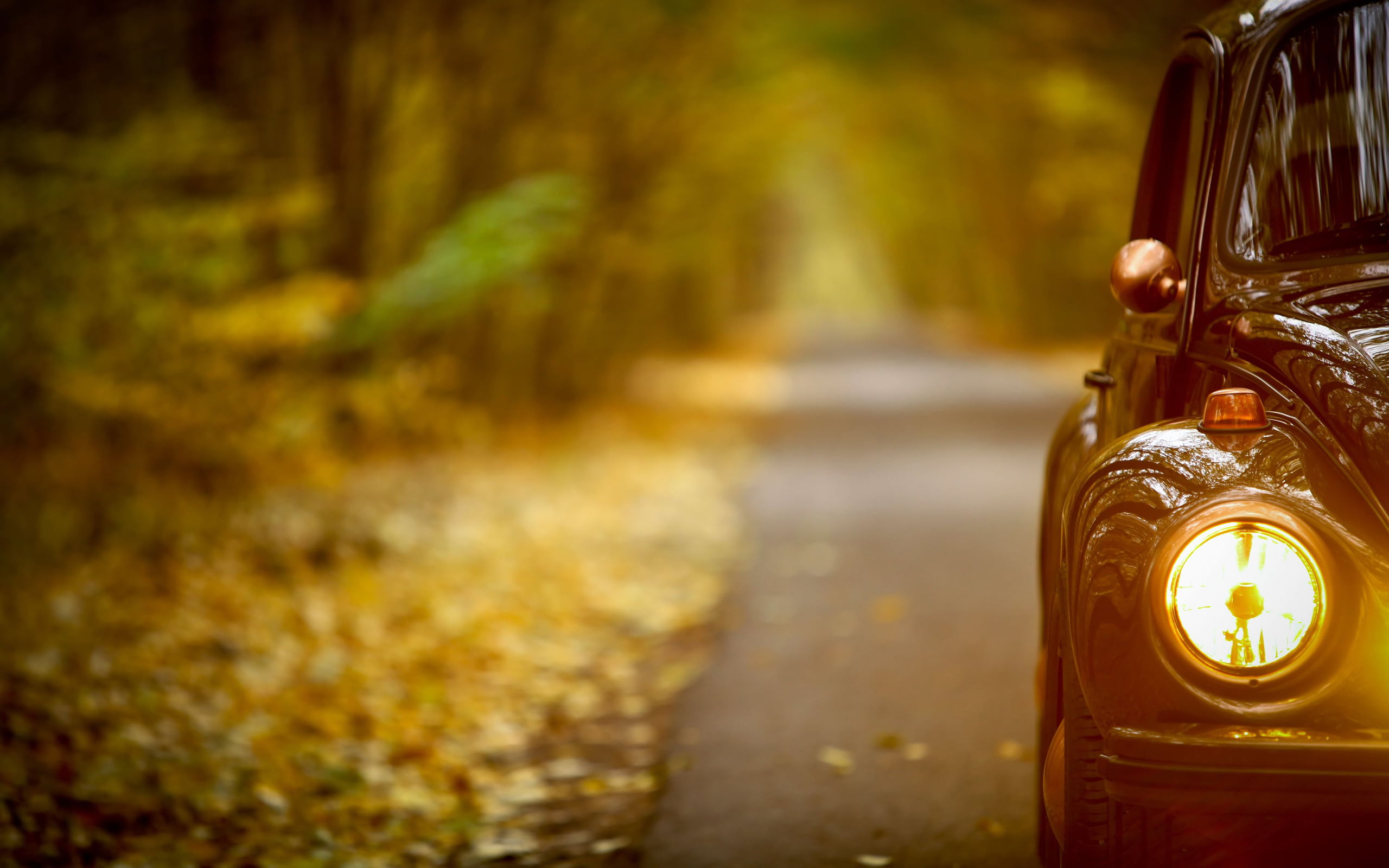 leaf, car, widescreen, widescreen, antique, red, volkswagen, lighting equipment, walk, optics, old-fashioned, travel, journey, headlight, HD Wallpaper