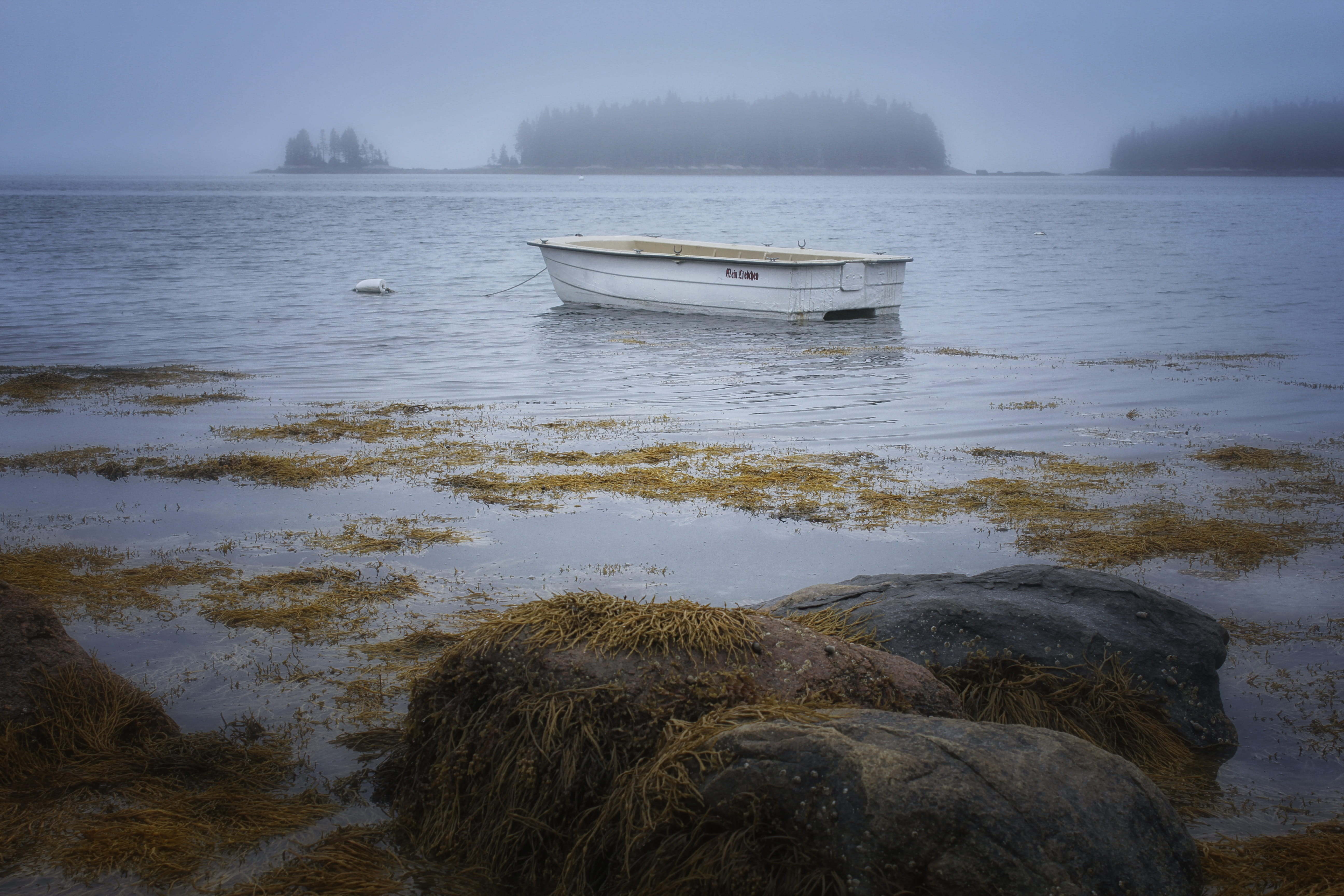 plant, seaweed, sea, seaside, no people, rocks, transportation, marine, natural, water, beach, boat, fog, 5K, recreation, lifestyle, leisure, seashore, HD Wallpaper