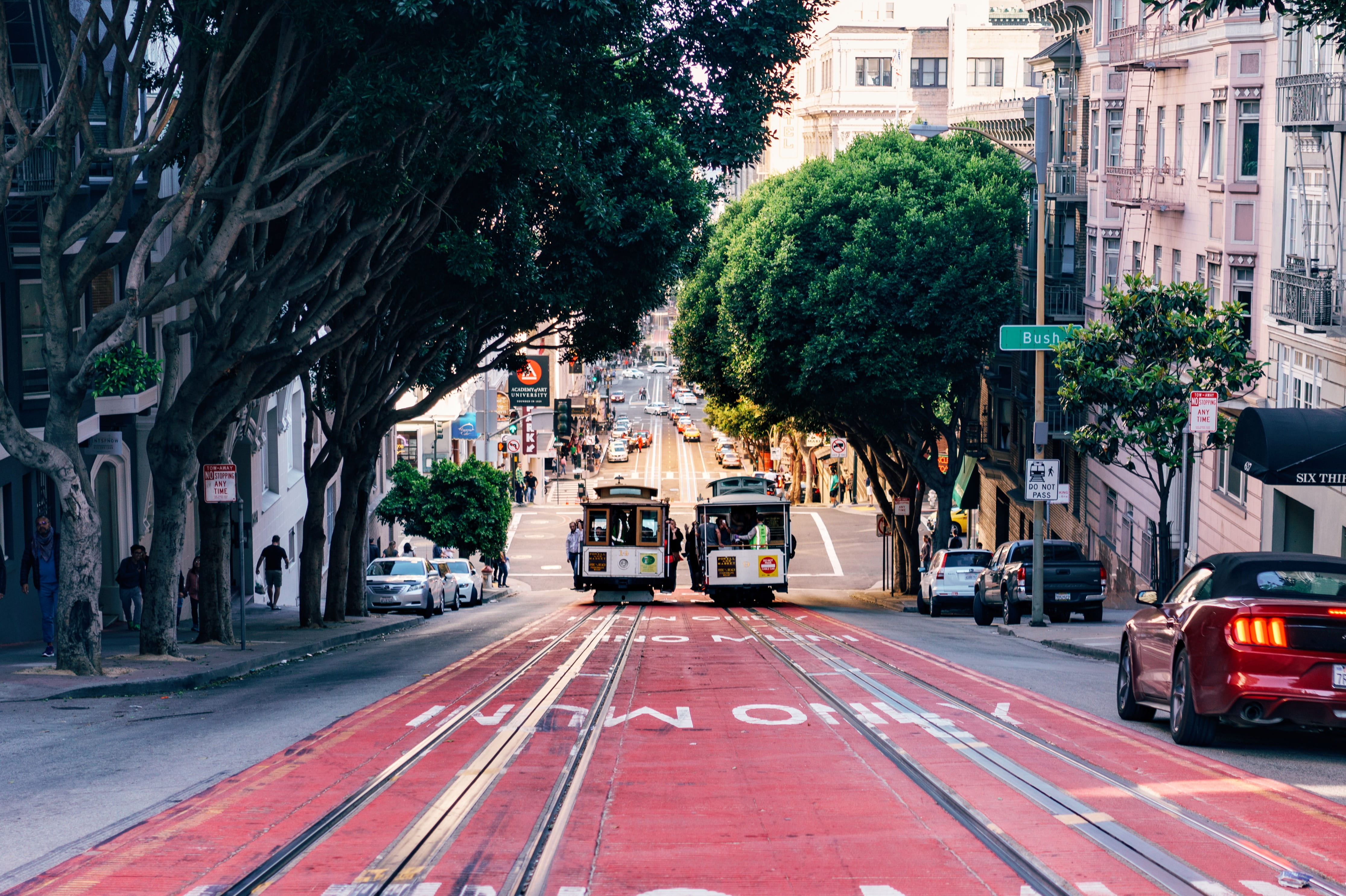 residential district, urban, plant, incidental people, line, summer, road, mode of transportation, traffic, san francisco, outdoors, nature, transportation, HD Wallpaper