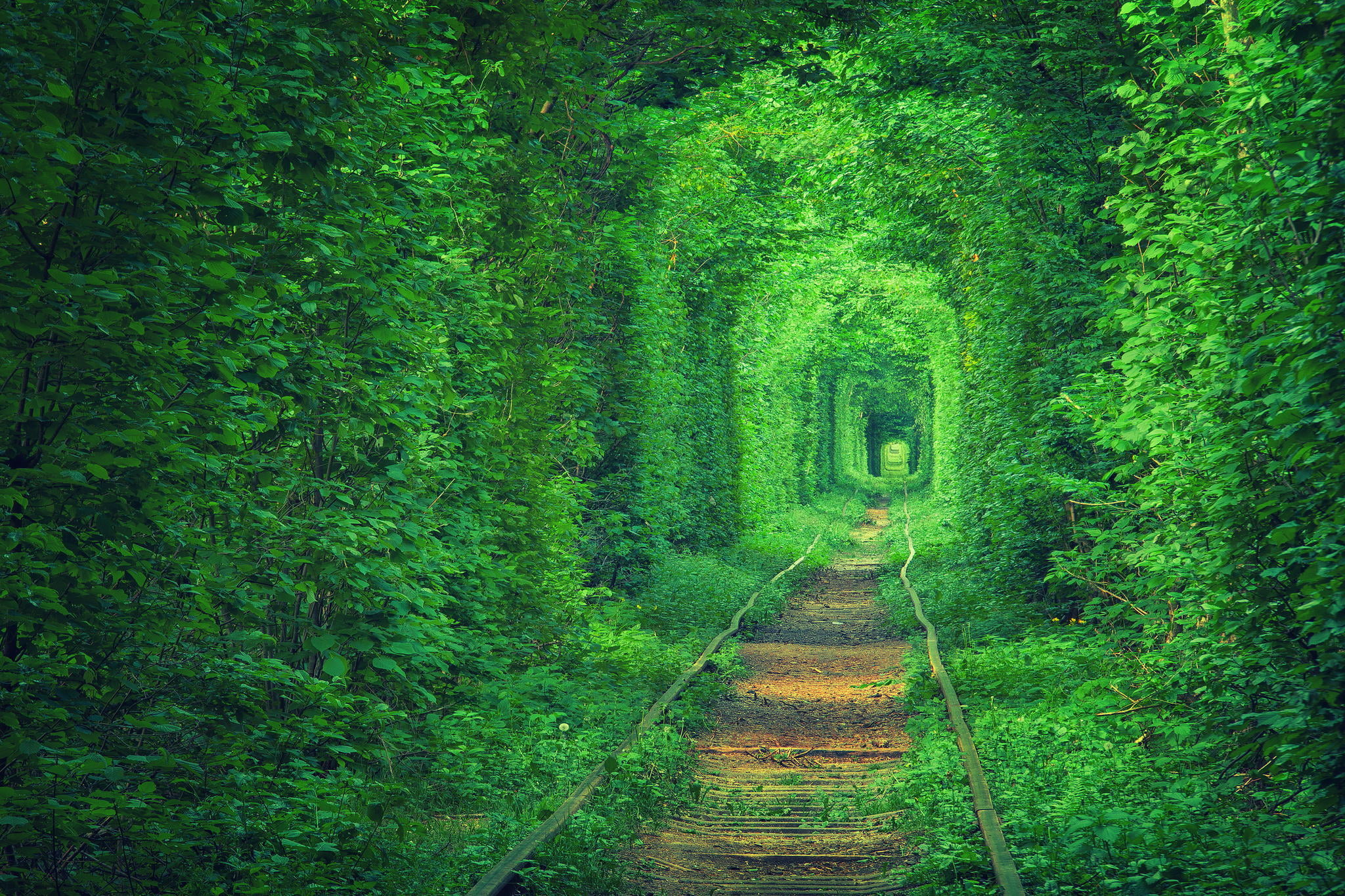 landscape, summer, tranquil scene, trees, nature, street, foliage, single Lane Road, scenics, journey, tram tracks, train, green, railway, direction, plant, HD Wallpaper