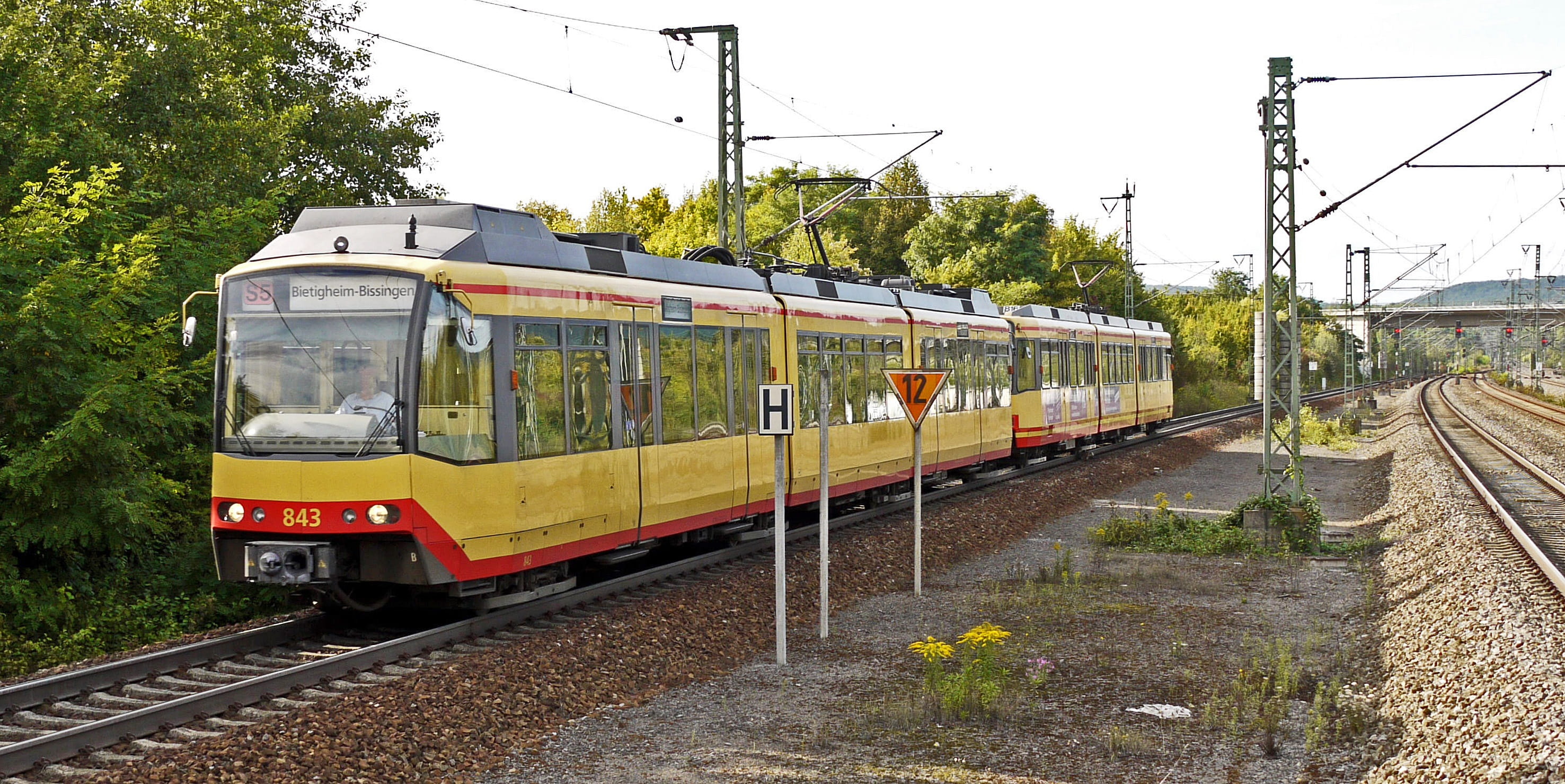 Railroad, enz, arrival, no people, train, railroad track, plant, public transportation, region karlsruhe, railway station, 2K, railroad trasse, electrical multiple unit, HD Wallpaper