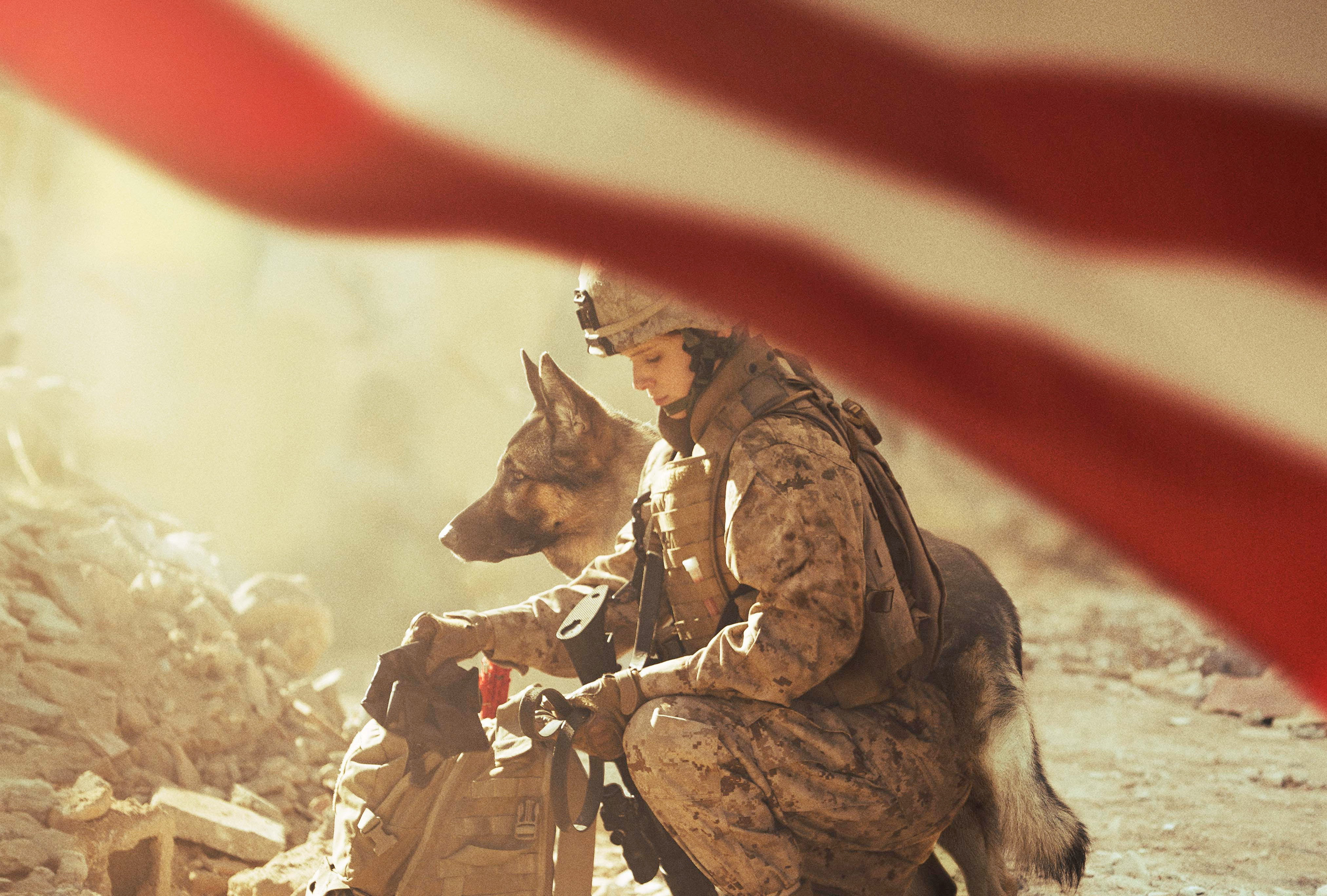 conflict, government, 2017 movies, military, people, adult, three quarter length, armed forces, aggression, clothing, dog, war, day, hd, movies, megan leavey, HD Wallpaper