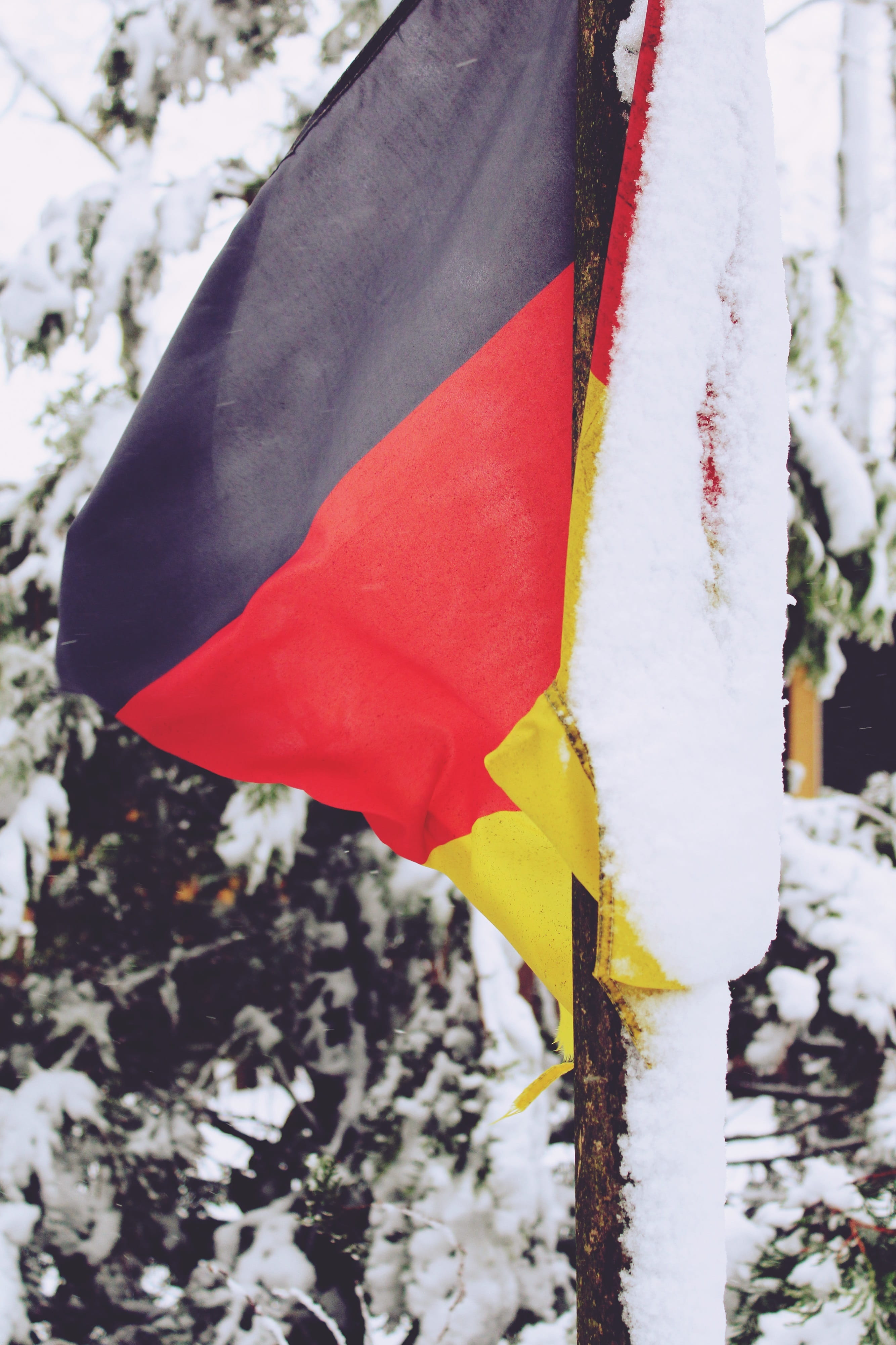 germany, plant, day, tree, winter, german flag, flagpole, trunk, 4K, flutter, blow, wintry, snow, pole, outdoors, german, focus on foreground, close-up, Phone HD Wallpaper
