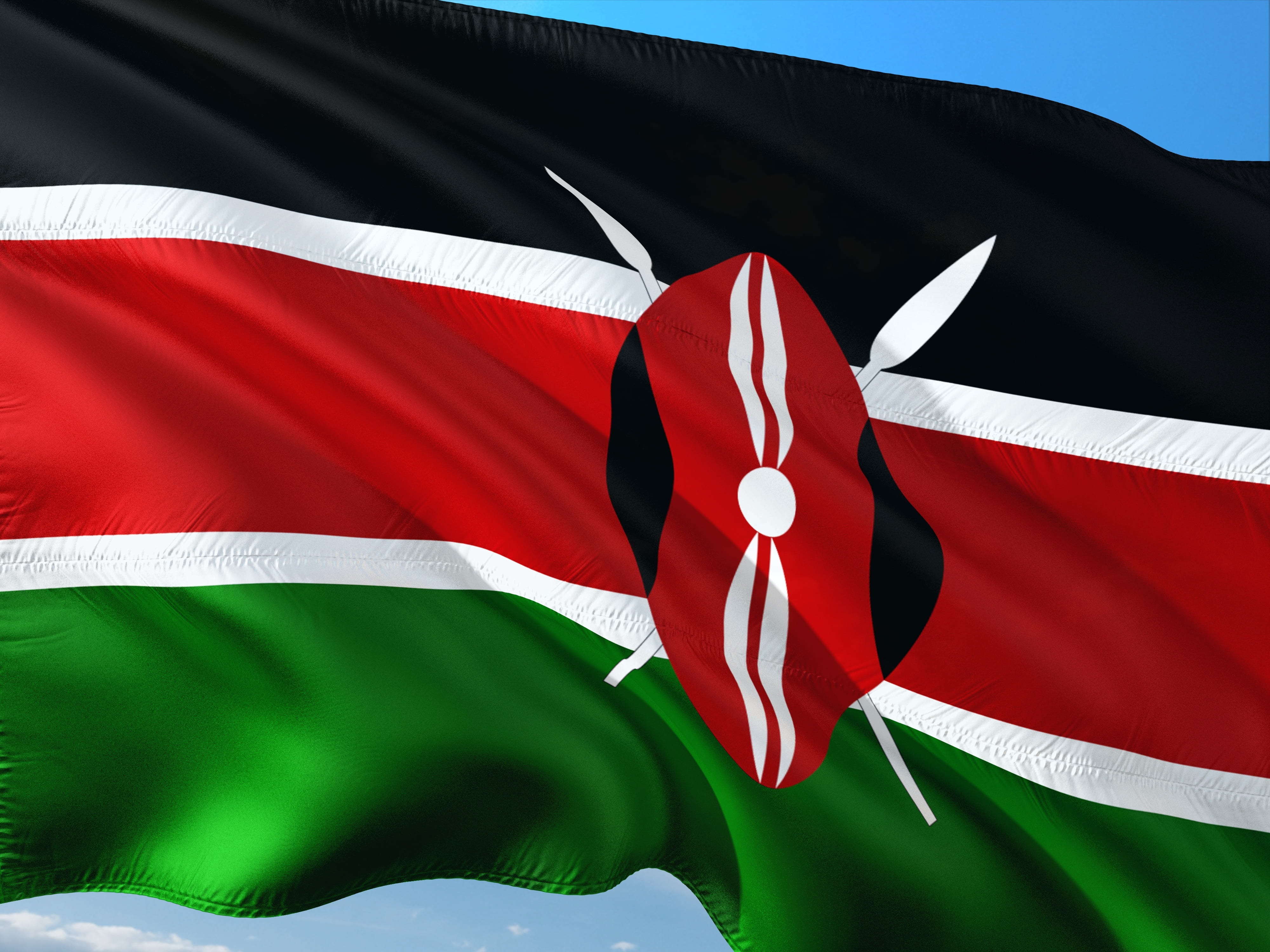 nature, no people, outdoors, kenya, east africa, ribbon, emotion, 4K, textile, white color, plant, leaf, red, flag, green color, blue, international, day, HD Wallpaper