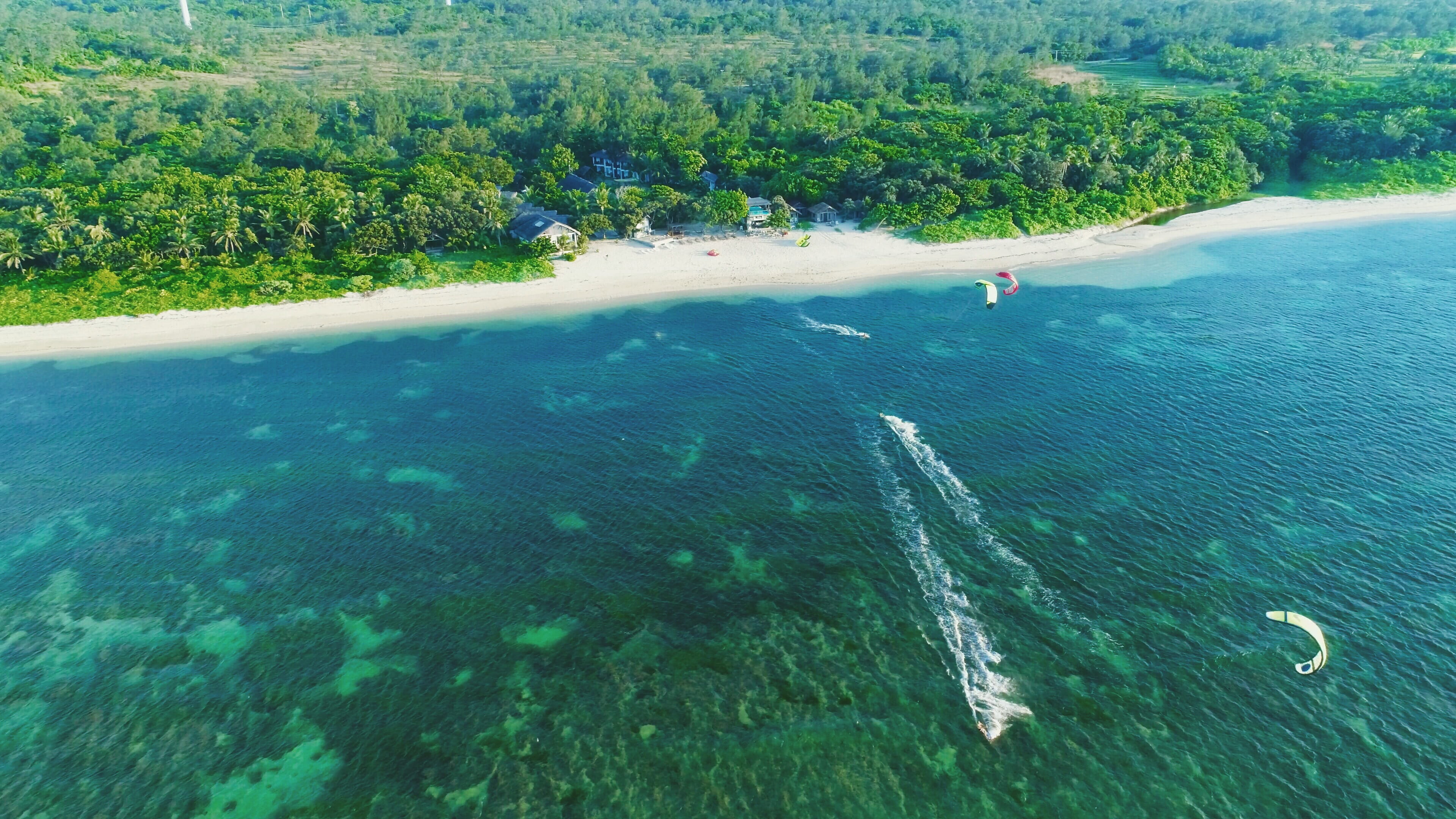 beach, sport, turquoise colored, nature, summer, kitesurfing, beauty in nature, motion, waterfront, forest, 4K, tree, kite surfing, outdoors, scenics - nature, HD Wallpaper
