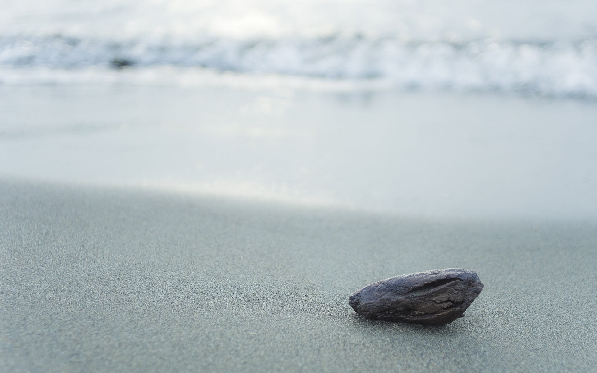beach, animal themes, white, surface, gray, tranquility, 1080P, land, beauty in nature, focus on foreground, pebble, top, surface level, selective focus, HD Wallpaper