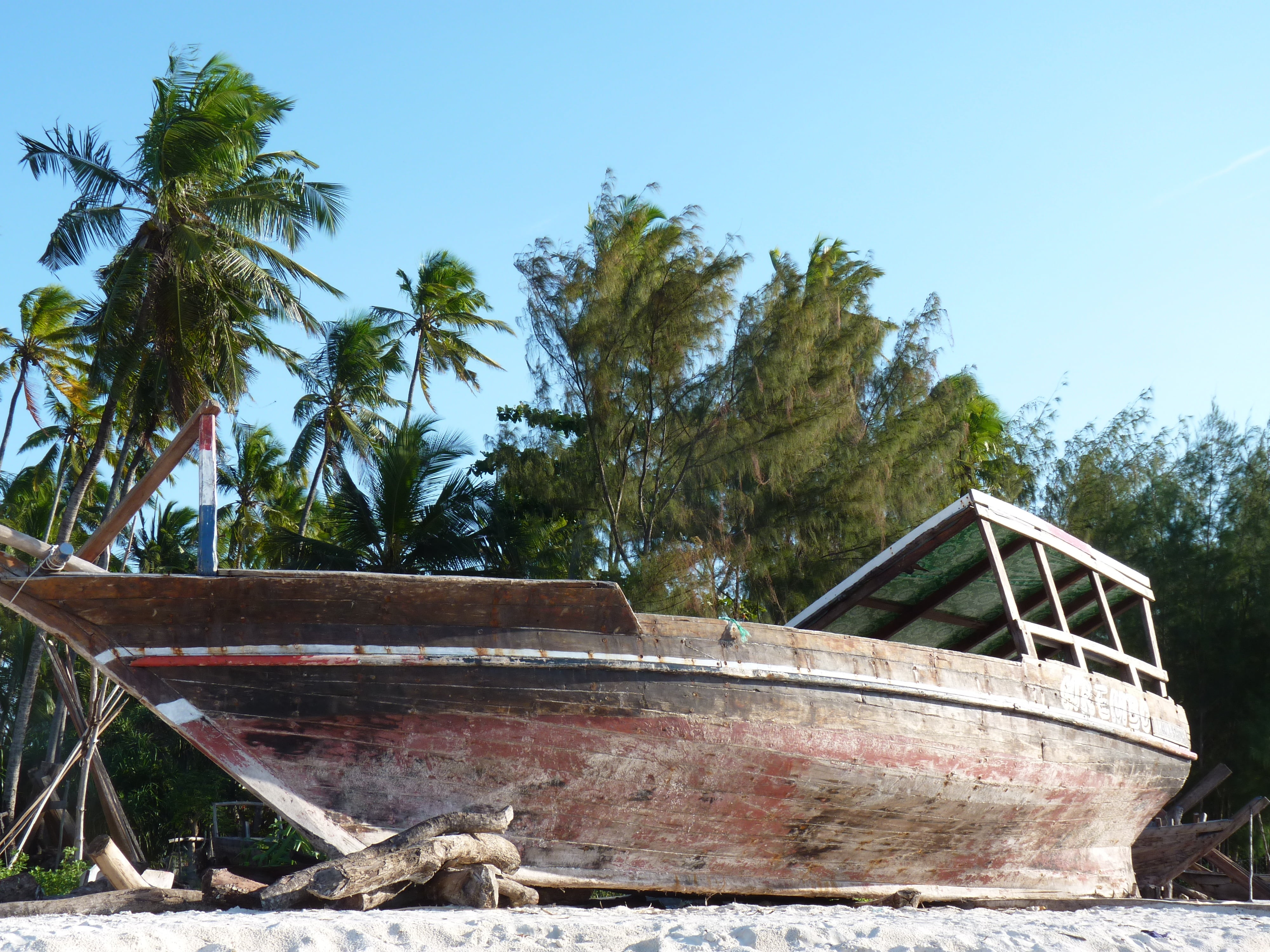 tree, nautical vessel, day, abandoned, nature, 4K, obsolete, water, transportation, palm tree, plant, tropical climate, beach, run-down, outdoors, sky, HD Wallpaper