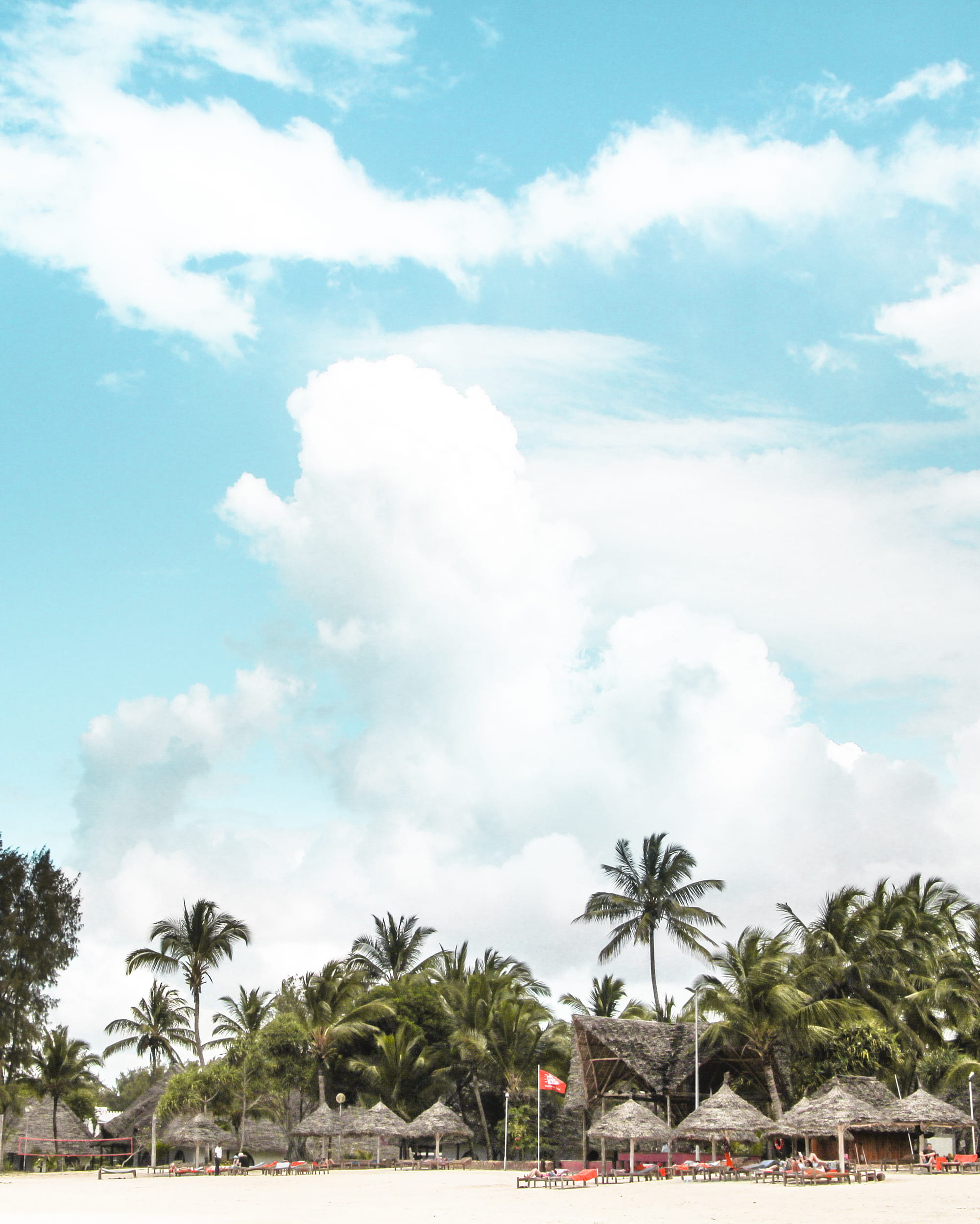 beauty in nature, tanzania, day, tree, 1080P, palm tree, photography, no people, travel, blue, nature, zanzibar town, travel destinations, built structure, Phone HD Wallpaper