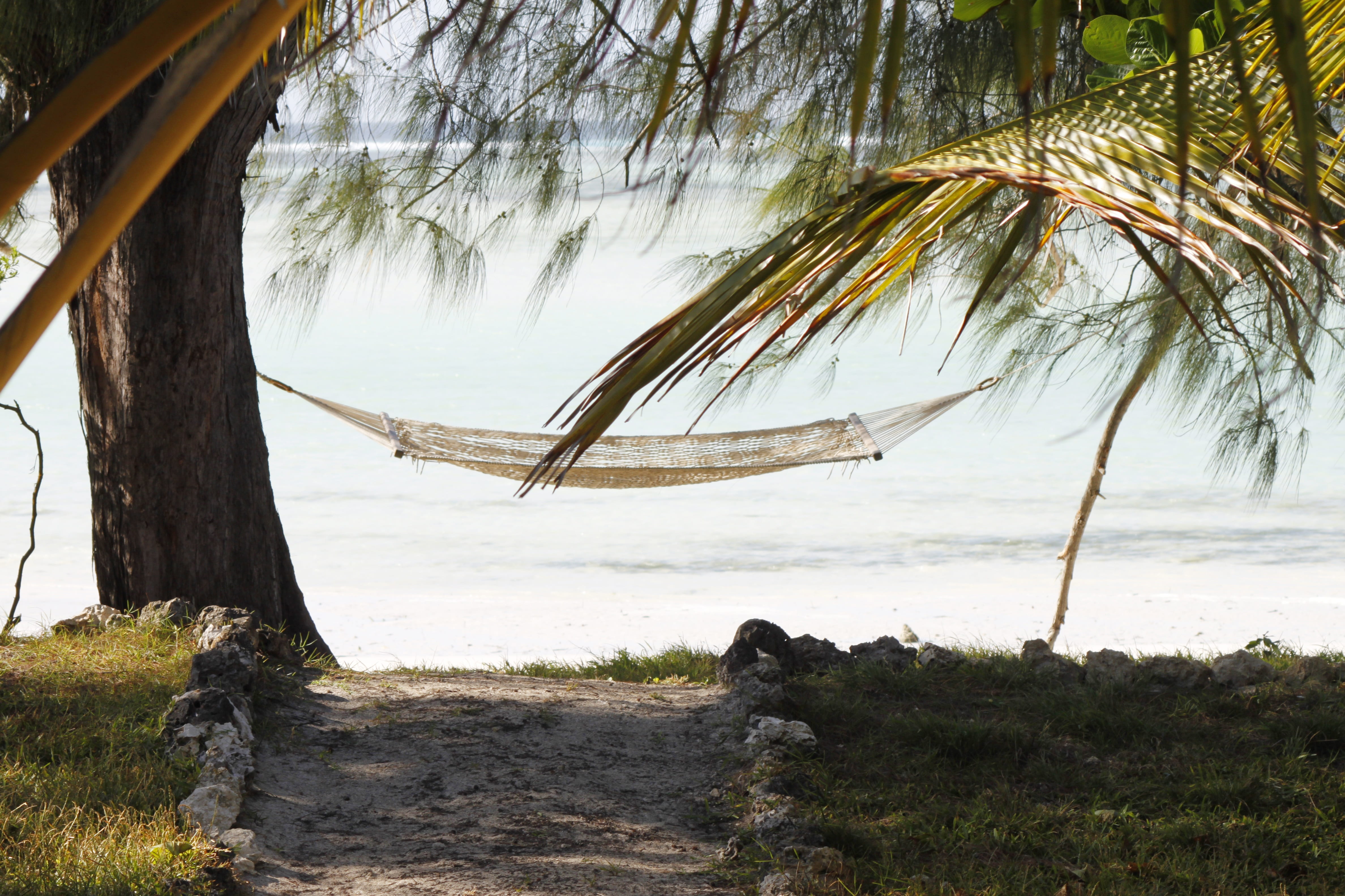 holiday, body, sky, no people, view, 4K, trunk, plant, tanzania, tree, growth, sand beach, beauty in nature, zanzibar, beach, tree trunk, land, hammock, HD Wallpaper