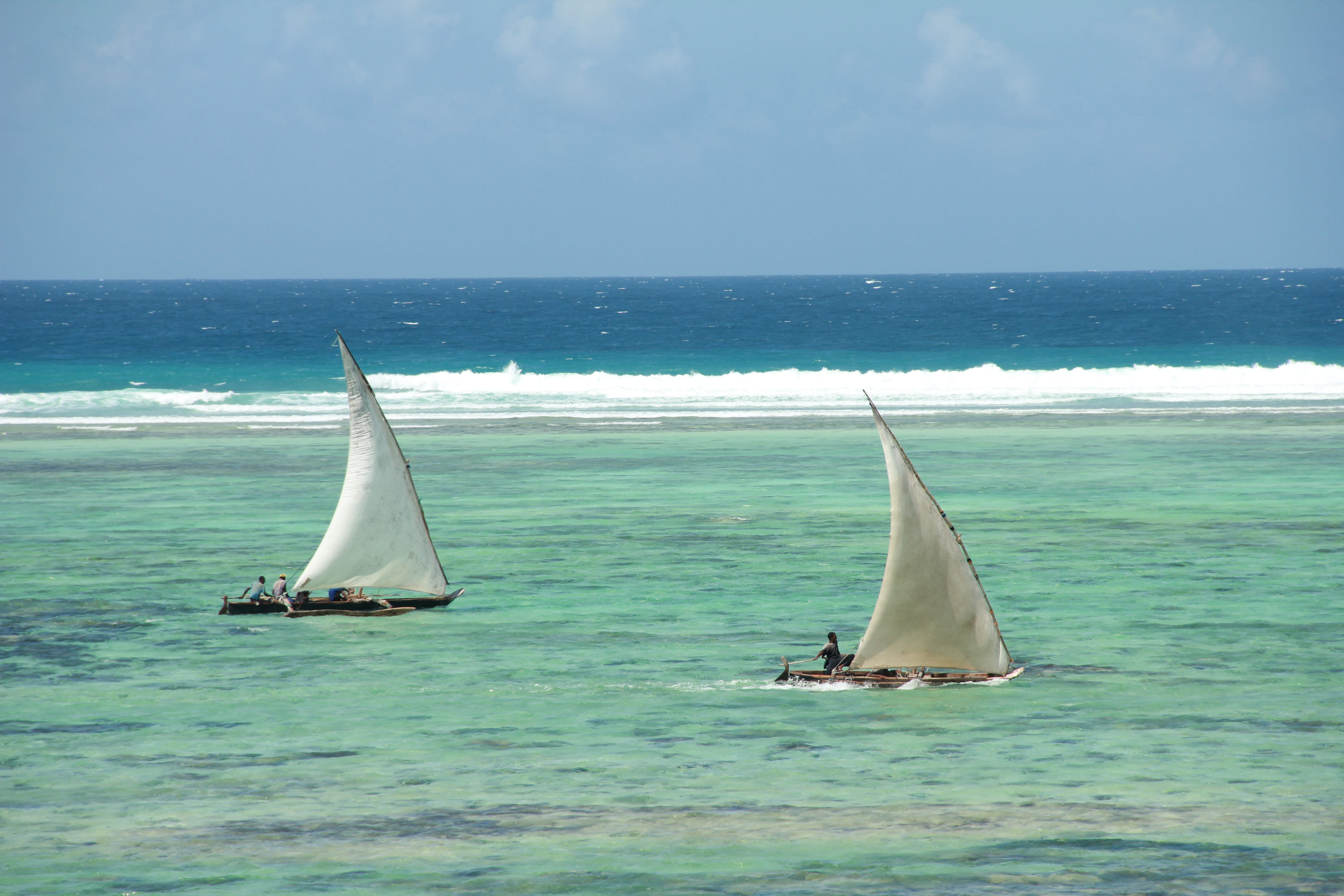 coast, traditional, 5K, holiday, horizon, sky, scenics - nature, Zanzibar, tourism, water, two, sail, ocean, horizon over water, sea, idyllic, animal, HD Wallpaper