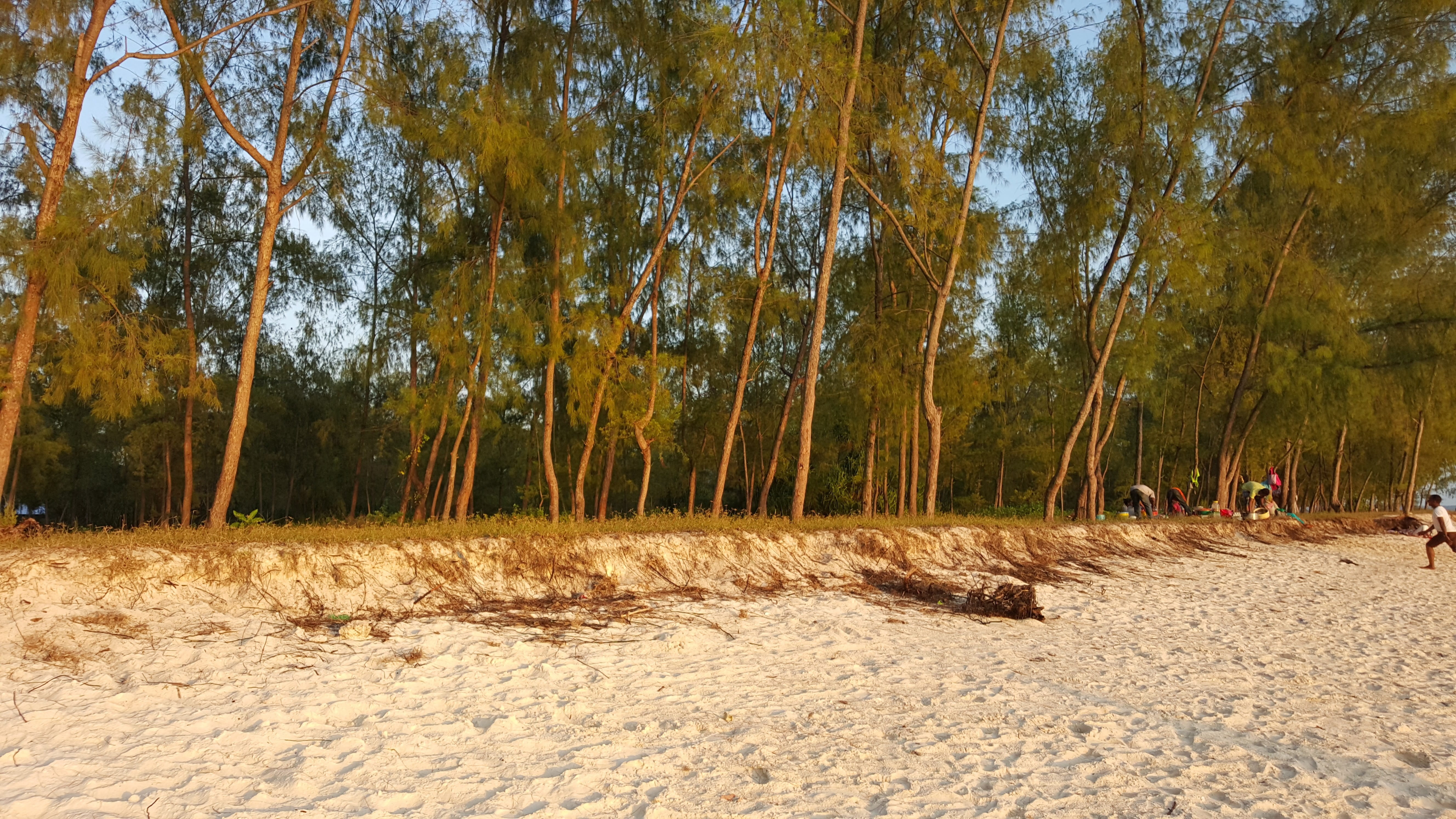 landscape, low, outdoors, scenics - nature, 5K, nature, tree, non-urban scene, leisure activity, land, group of people, zanzibar, sunlight, tranquil, incidental people, HD Wallpaper