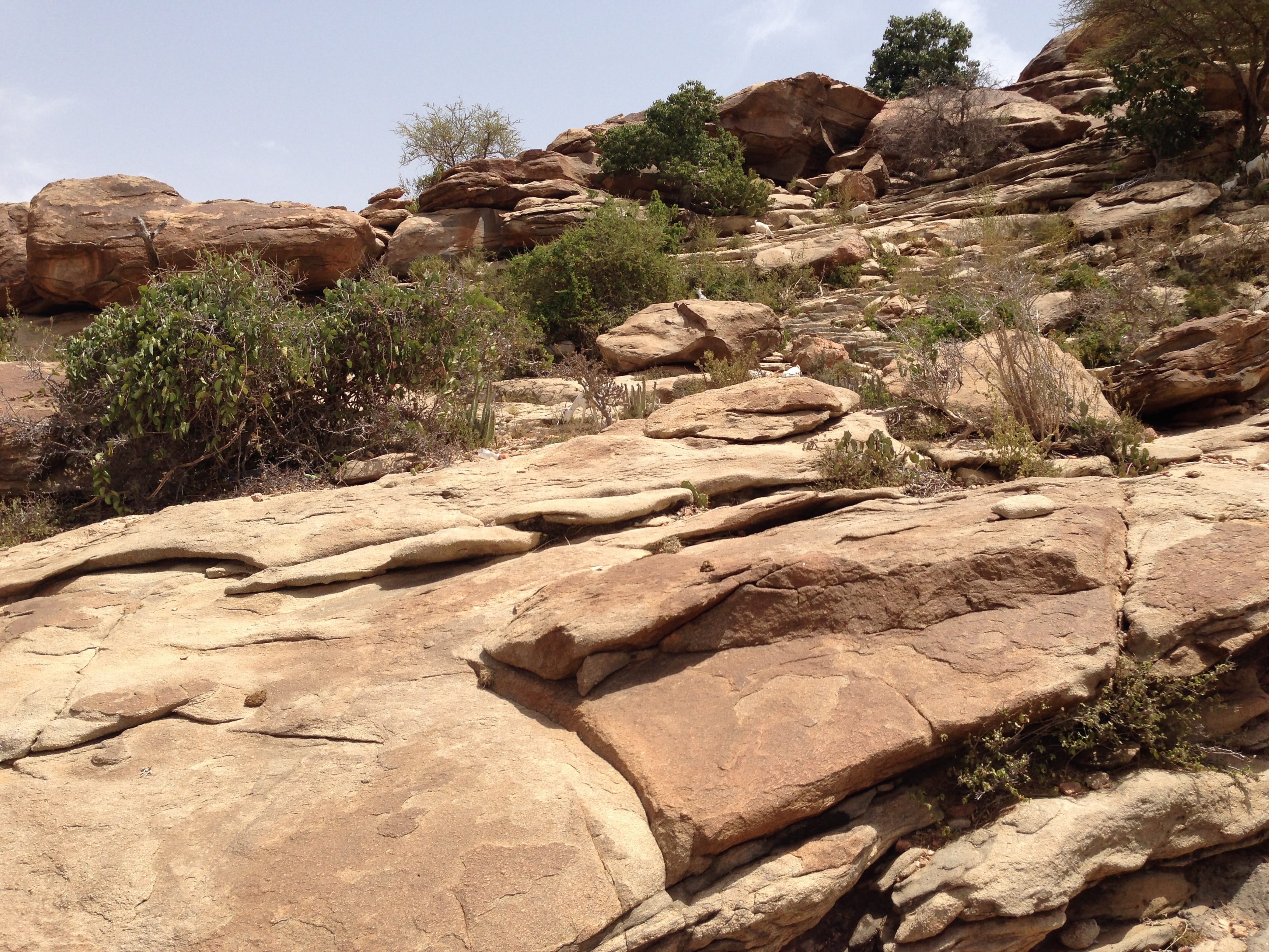 scenics - nature, Somaliland, country, nature, physical geography, formation, Nation, green, solid, climate, eroded, arid climate, tranquil scene, mountain, HD Wallpaper