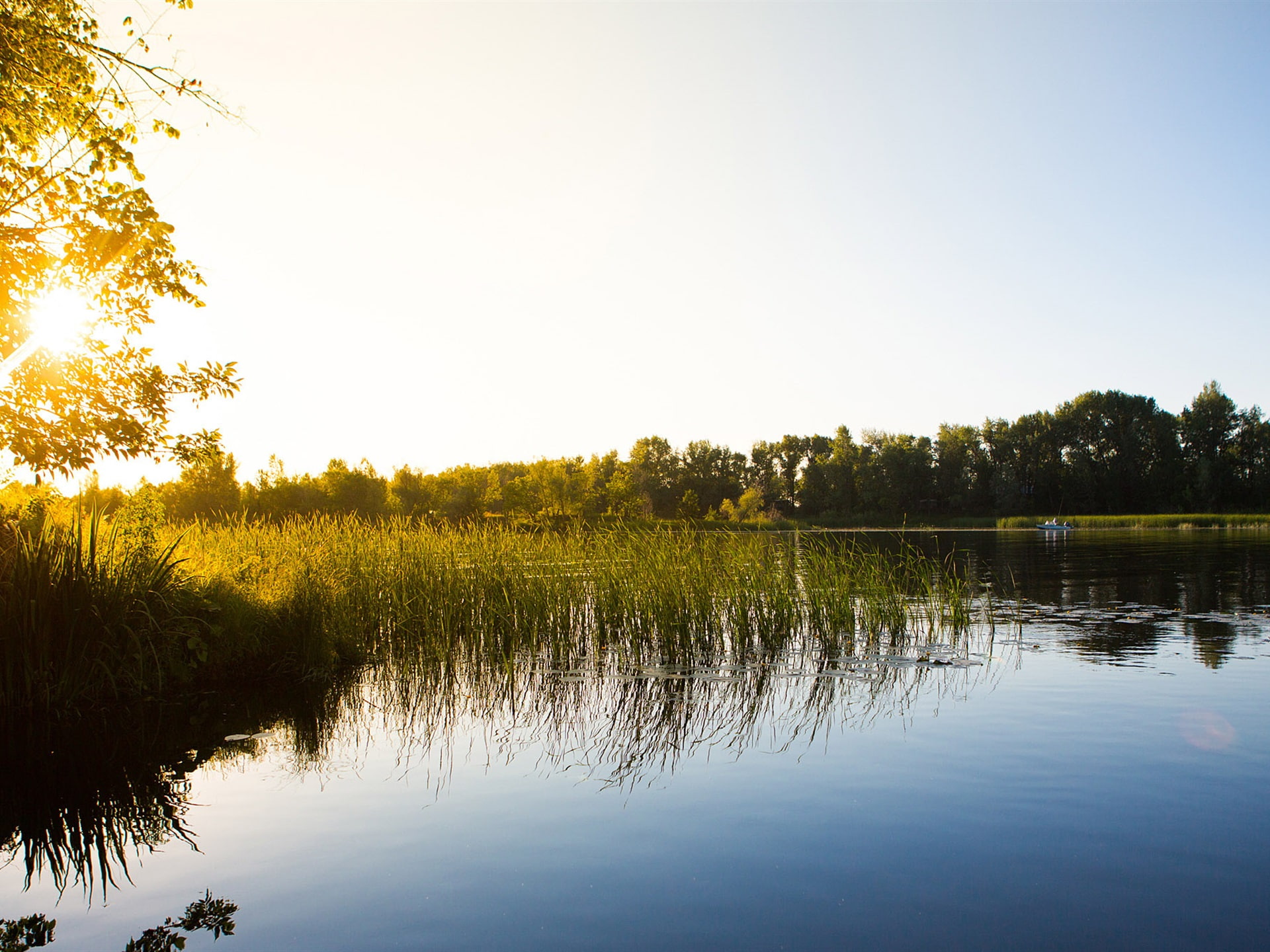 Lake, Boat, 1080P, Morning, Fishermen, Reeds, Sun, HD Wallpaper