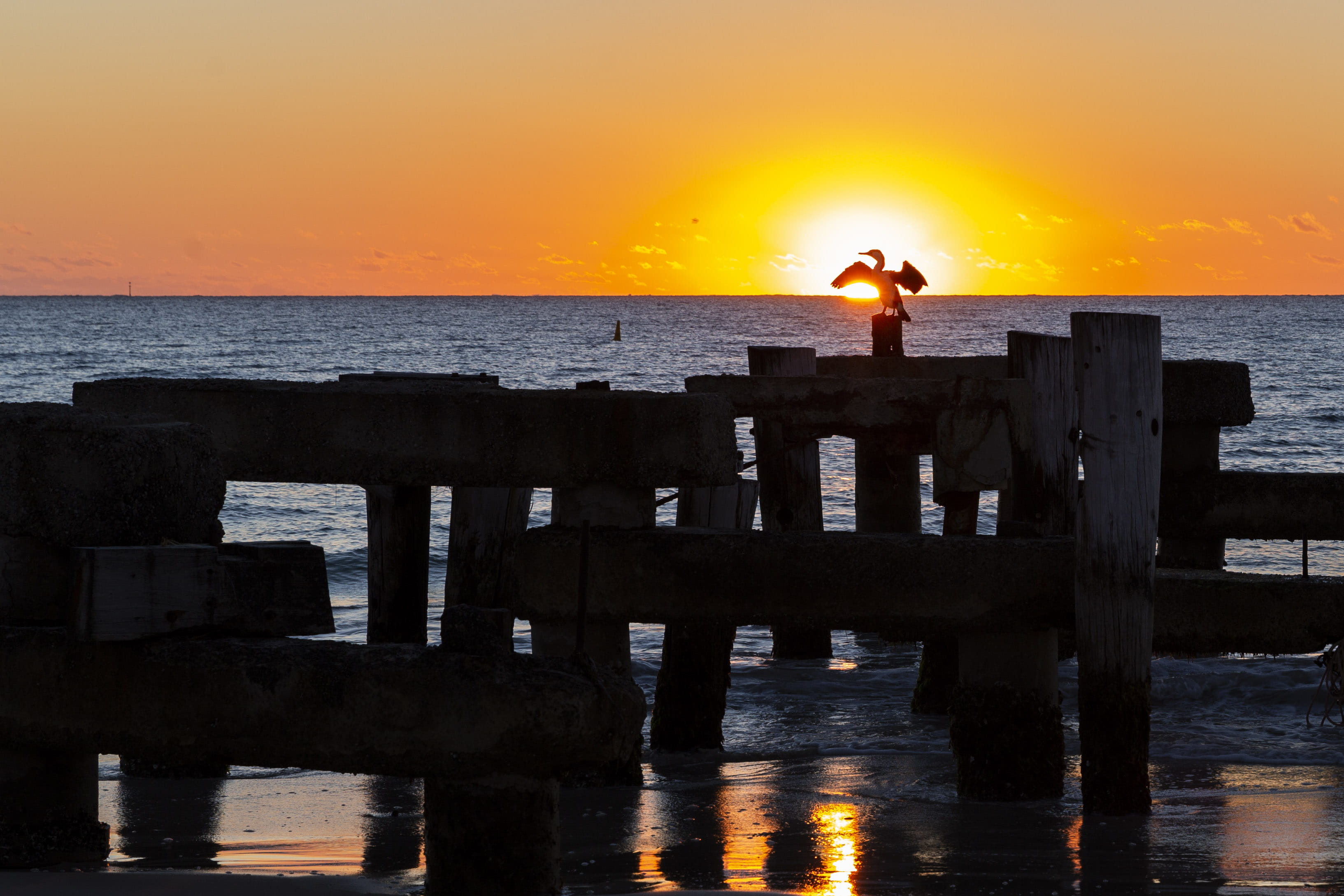 standing, horizon over water, pier, leisure activity, one person, jurien bay, scenics - nature, sea, beauty in nature, outdoors, 2K, silhouette, sunset, HD Wallpaper