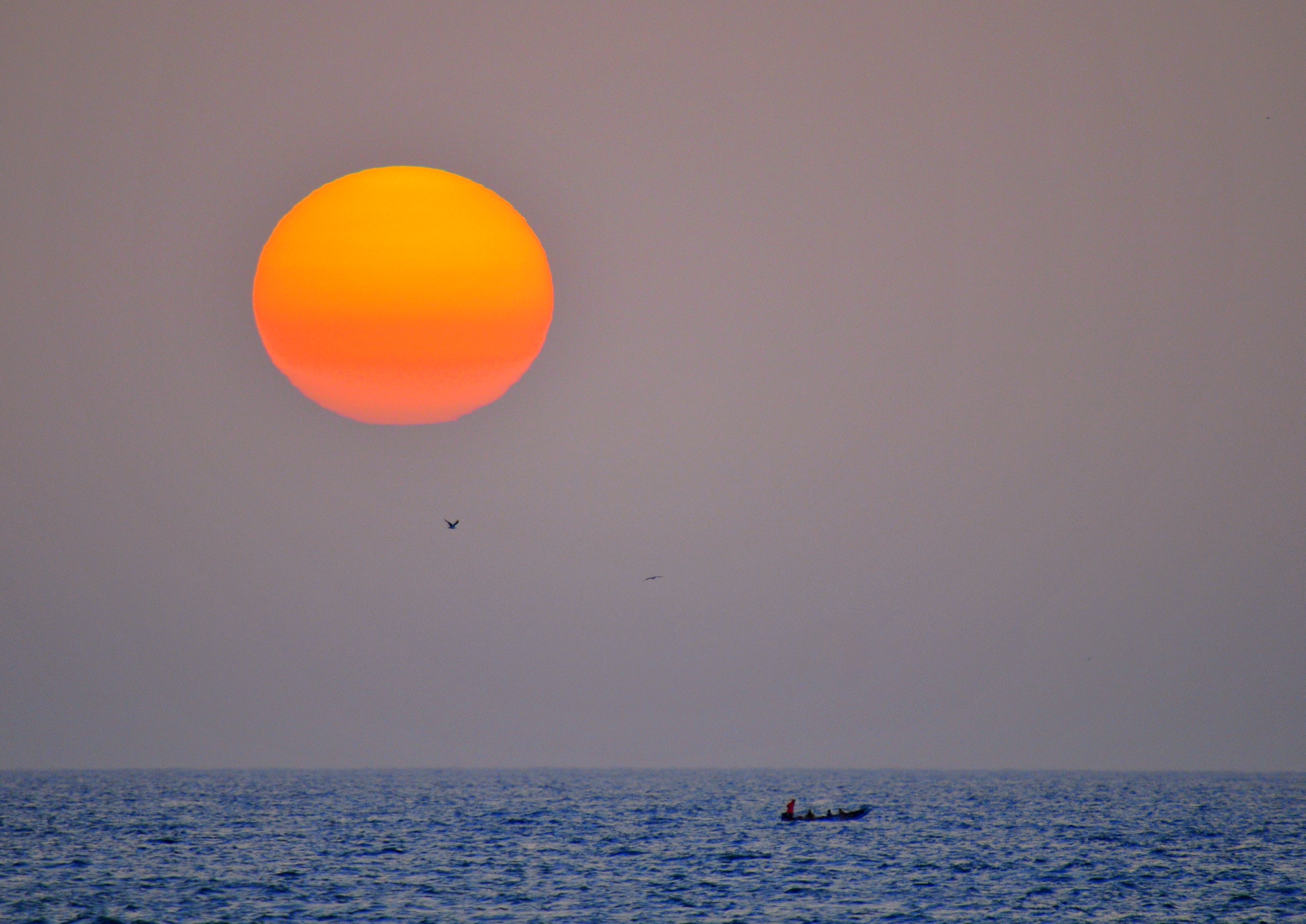senegal, scenics - nature, fishermen, idyllic, sea, horizon over water, blue, transportation, sunraise, 2K, nautical vessel, beauty in nature, people, HD Wallpaper