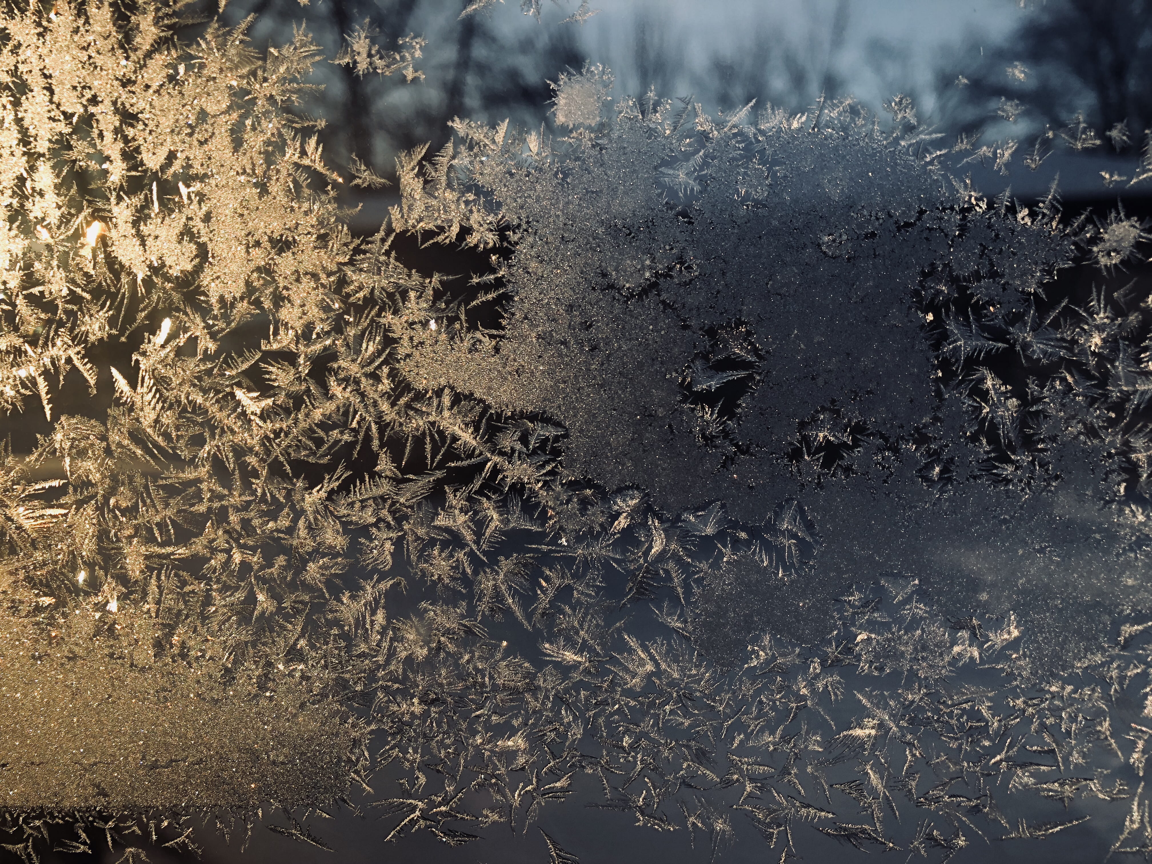 environment, water, nature, background, frozen, land, outdoors, ze, 4K, snowflake, animal, midwest, ice, tranquility, vertebrate, sun, dirt, HD Wallpaper