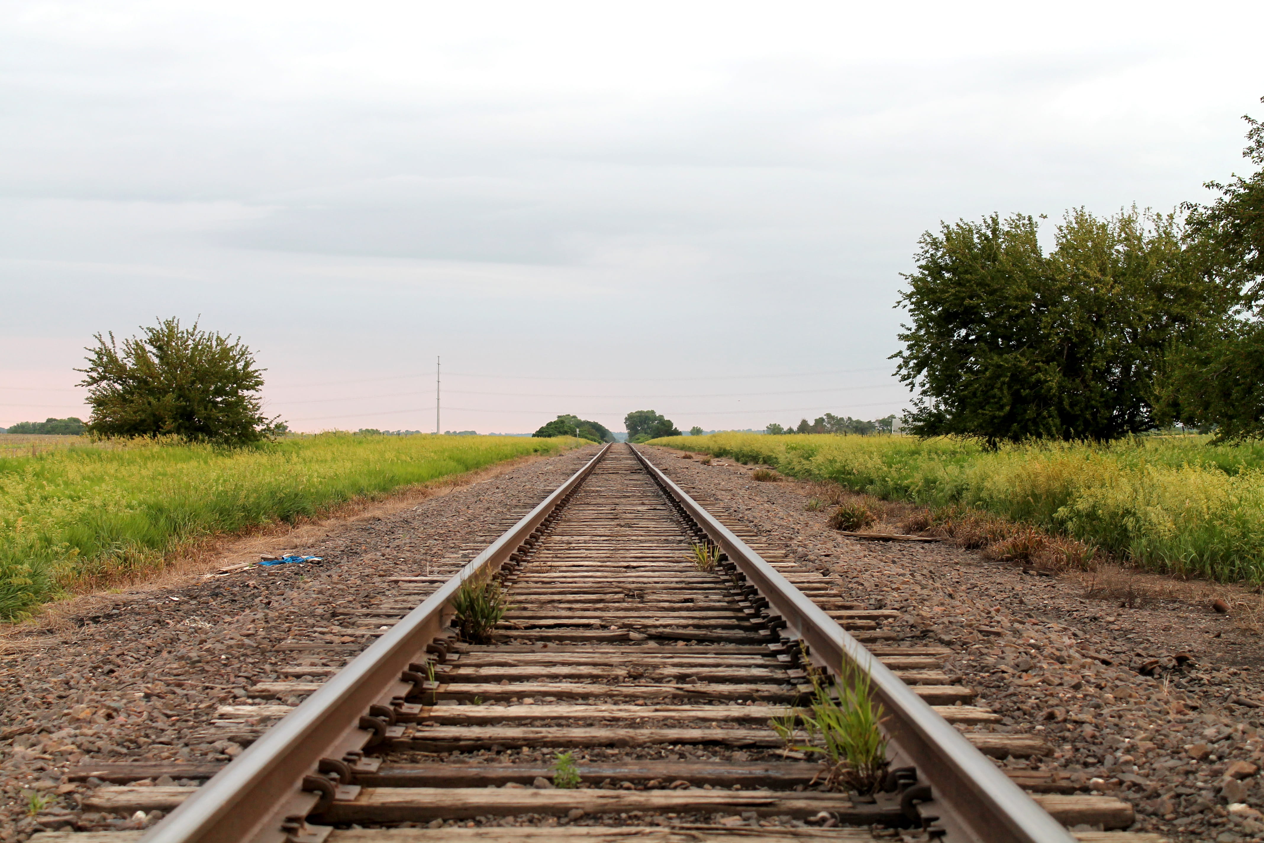 day, rail, diminishing perspective, vanishing point, train, wood river, track, railroad, united states, rail transportation, plant, outdoors, 4K, midwest, HD Wallpaper