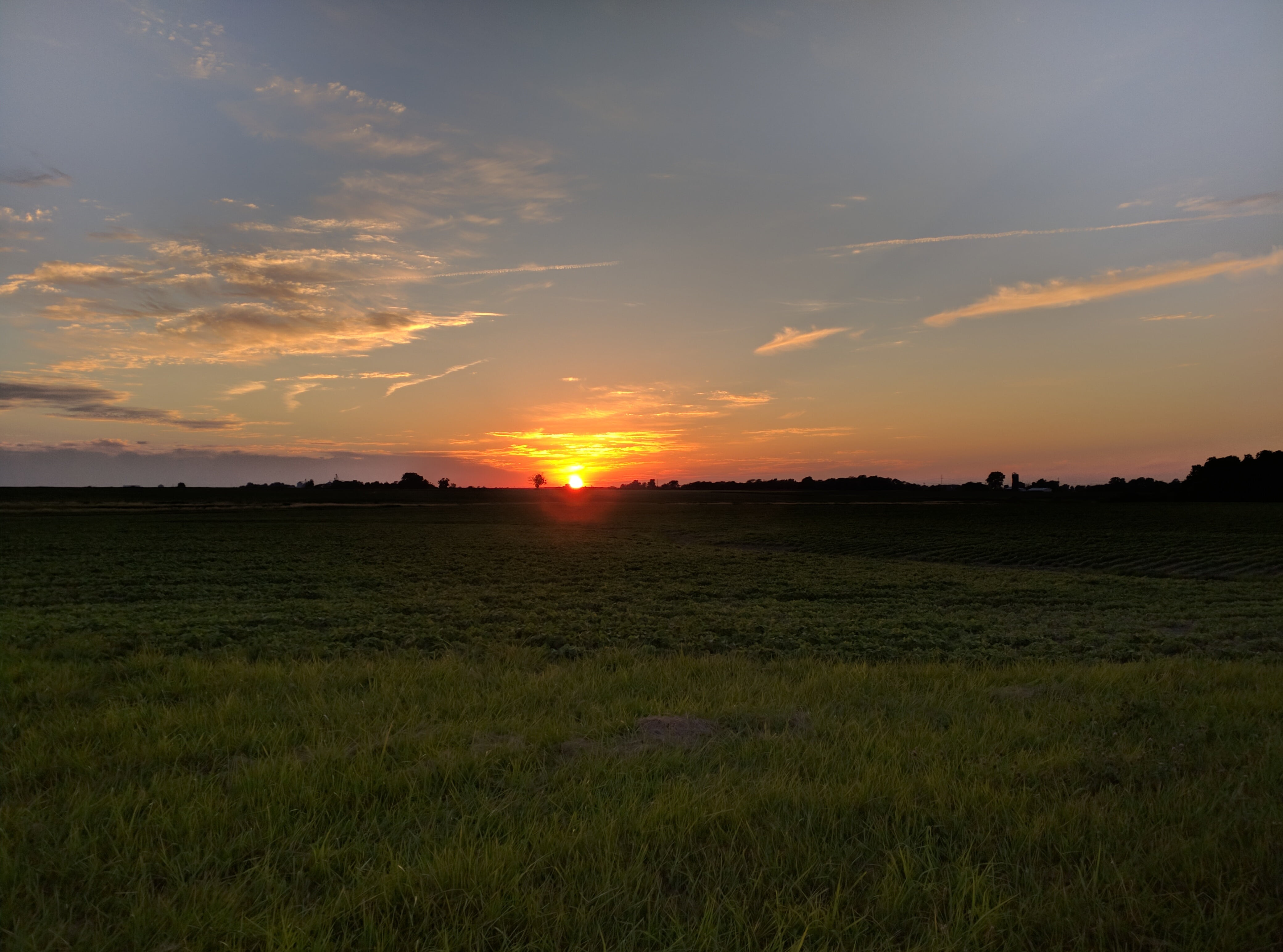 plant, rural scene, cloud - sky, midwest, nature, orange color, tranquil scene, environment, tranquility, scenics - nature, grass, illinois, 4K, landscape, HD Wallpaper
