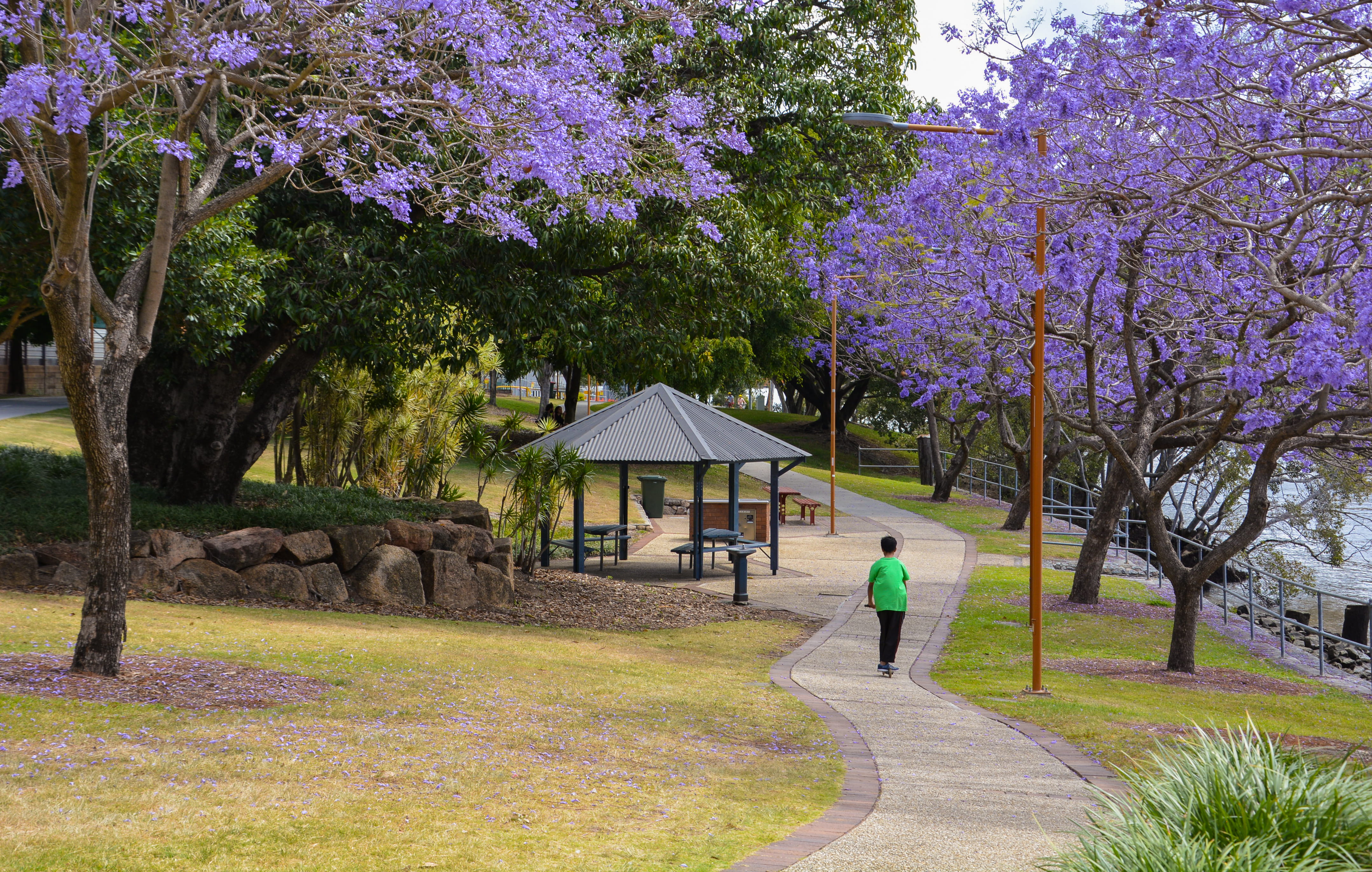 women, trees, purple, australia, scooter, park, architecture, beauty in nature, tree, walking, footpath, real people, built structure, day, men, plant, HD Wallpaper