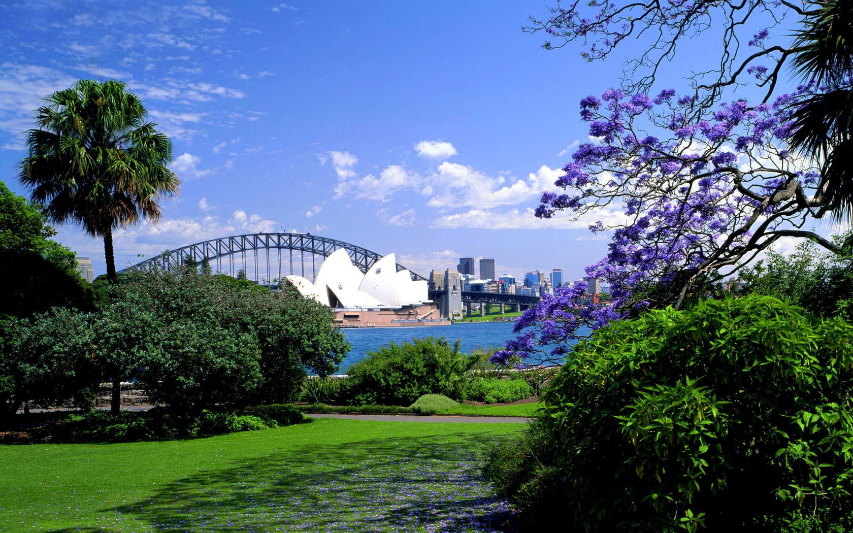 city, opera, new South Wales, architecture, arch bridge, plant, cityscape, travel, day, modern, famous Place, built Structure, summer, house, office Building, HD Wallpaper