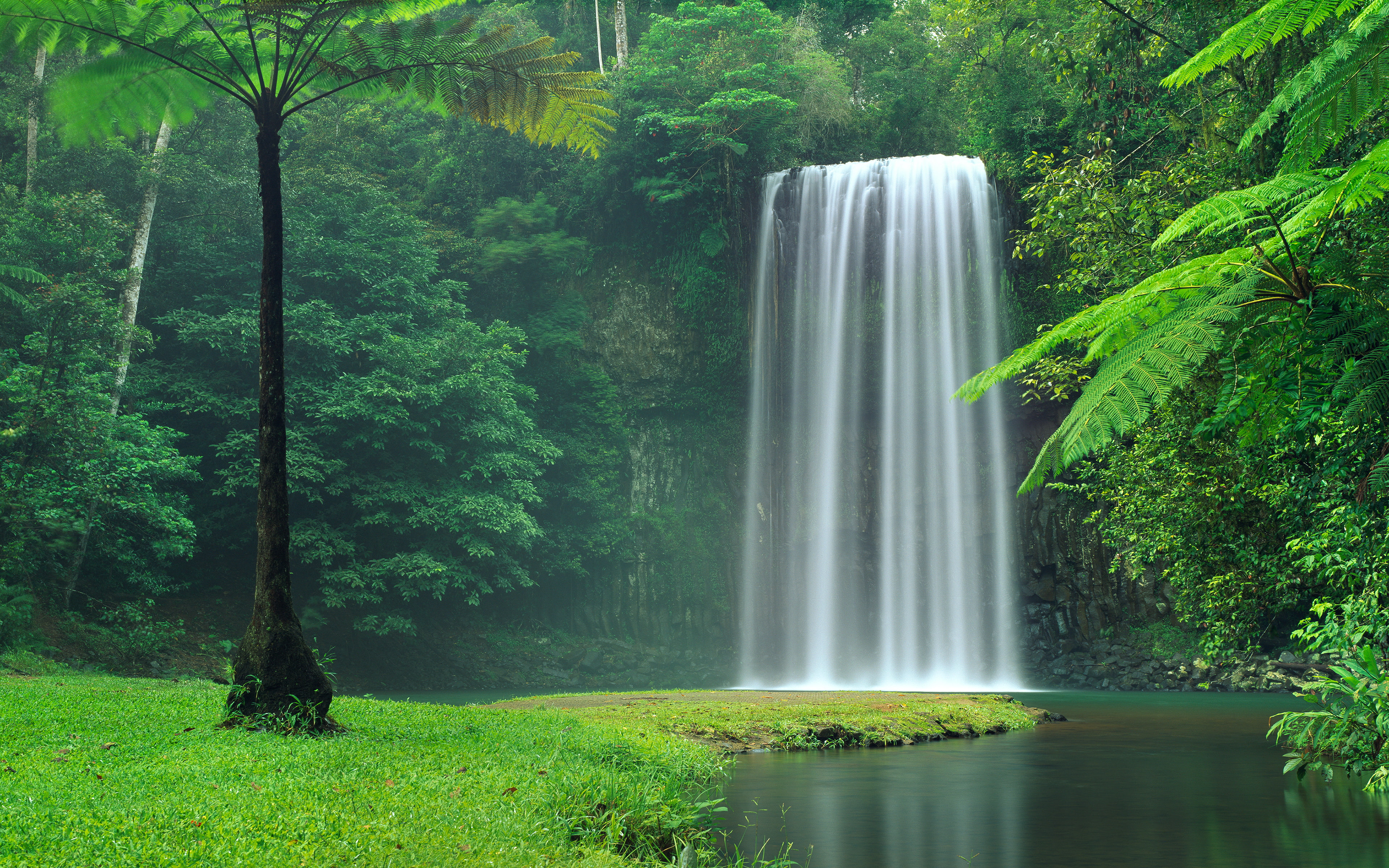 4K, Australia, Millaa Millaa Falls, Queensland, Waterfall, 4K, HD Wallpaper