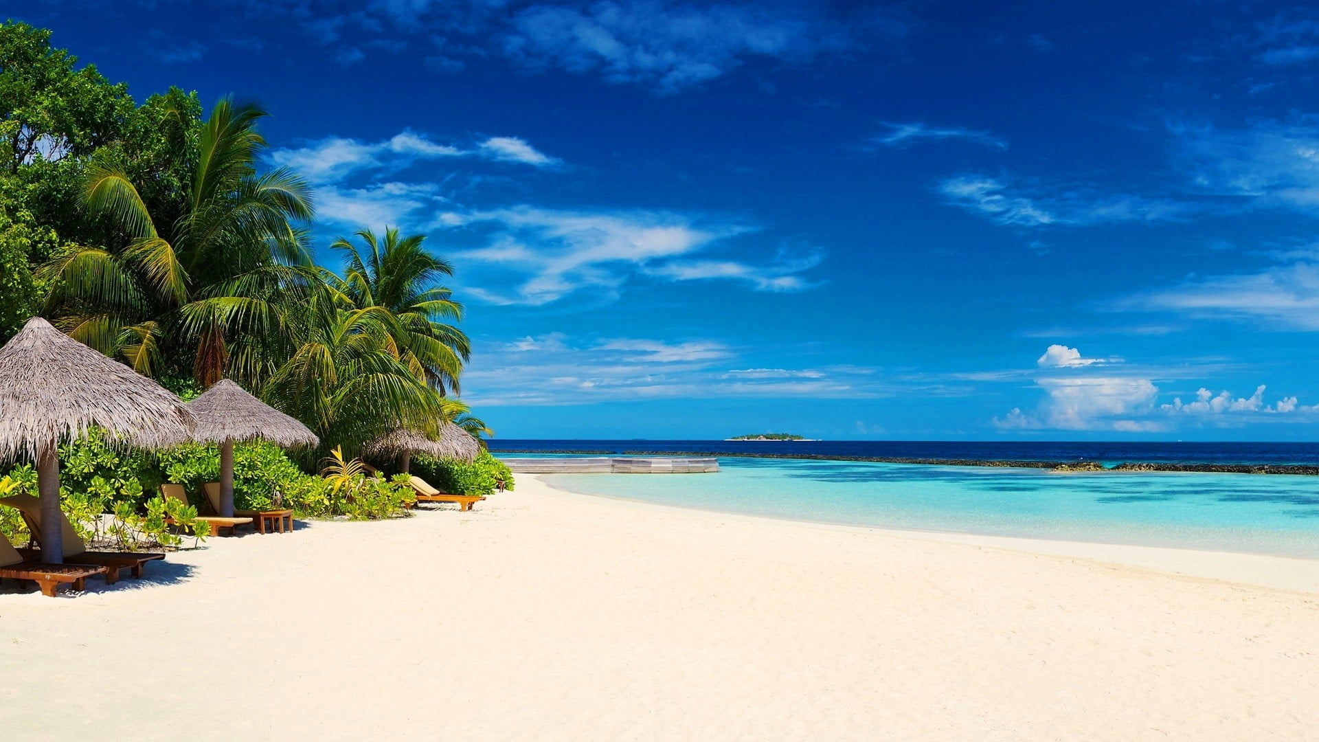tropical tree, three, cloud - sky, land, water, landscape, tranquility, sand, scenics - nature, coconut palm tree, tree, no people, tropical, sea, huts, HD Wallpaper