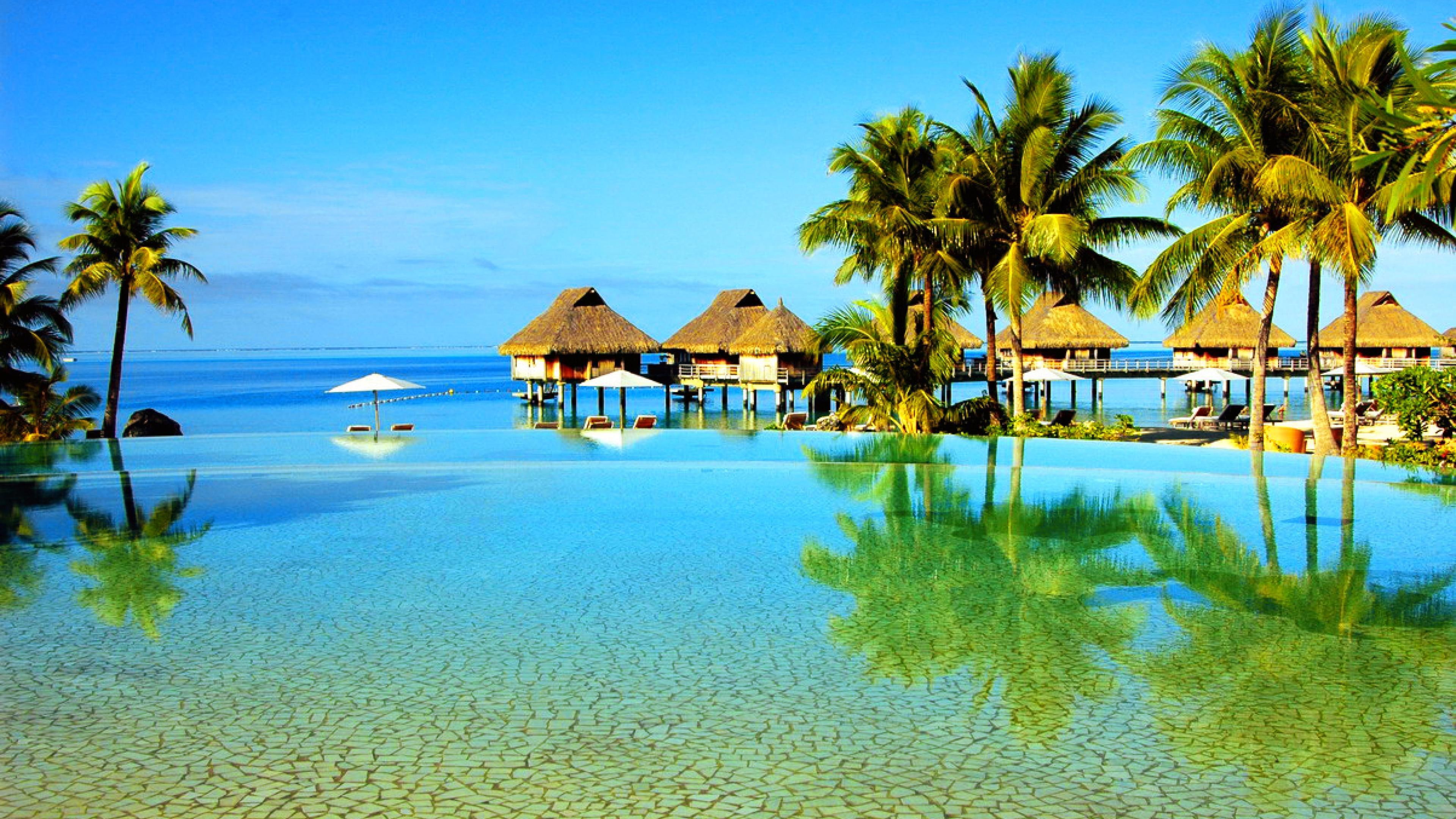 reflected, ocean, 4K, amazing, apartments, palm tree, cabins, tropical, travel, summer, reflection, blue sky, wonderful, palms, pool, huts, awesome, holiday, HD Wallpaper