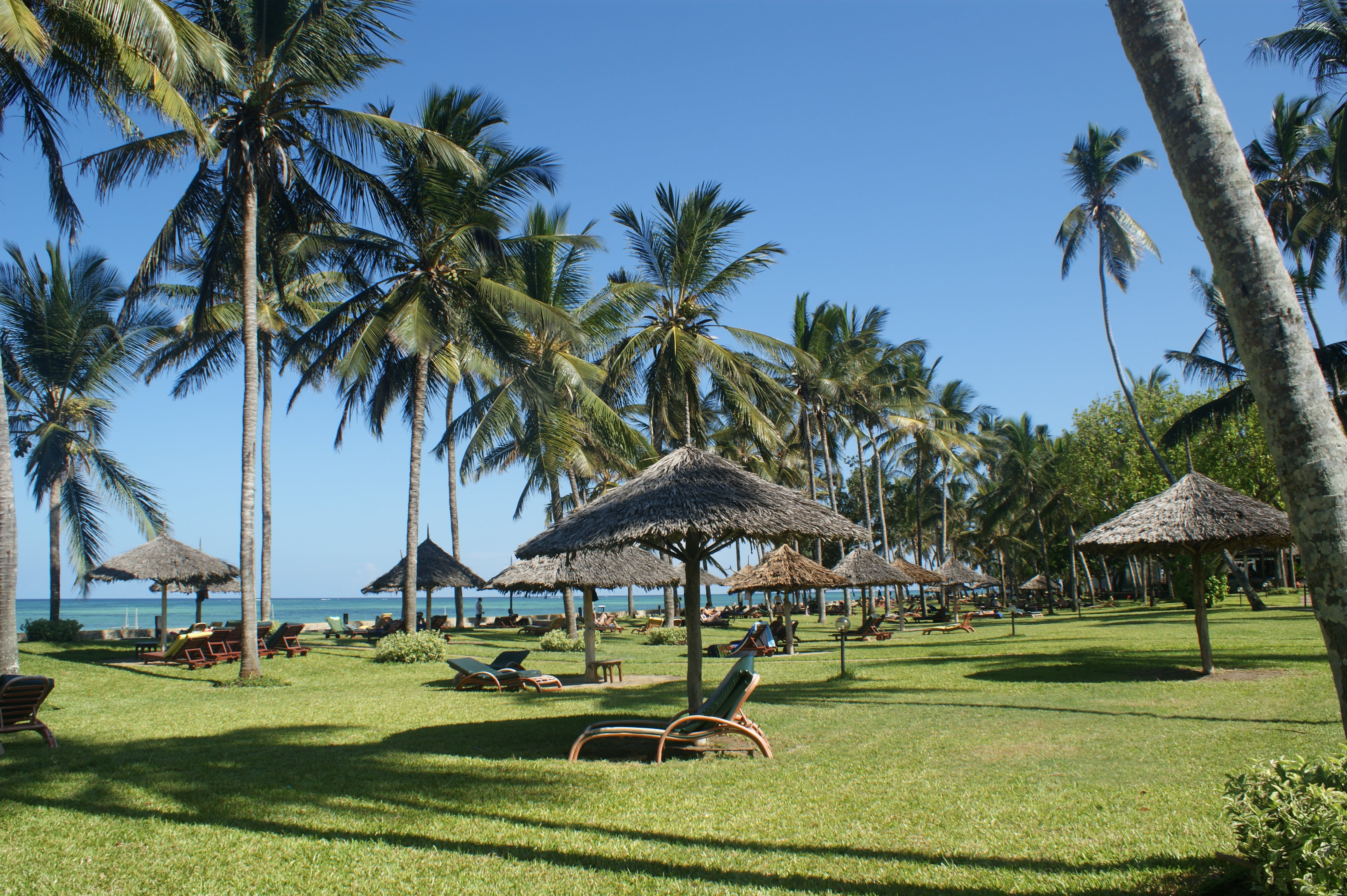 roof, hotel, beach, day, travel destinations, summer, grass, tree, thatched roof, coconut, green, tropical, water, hut, land, beauty in nature, plant, palms, HD Wallpaper