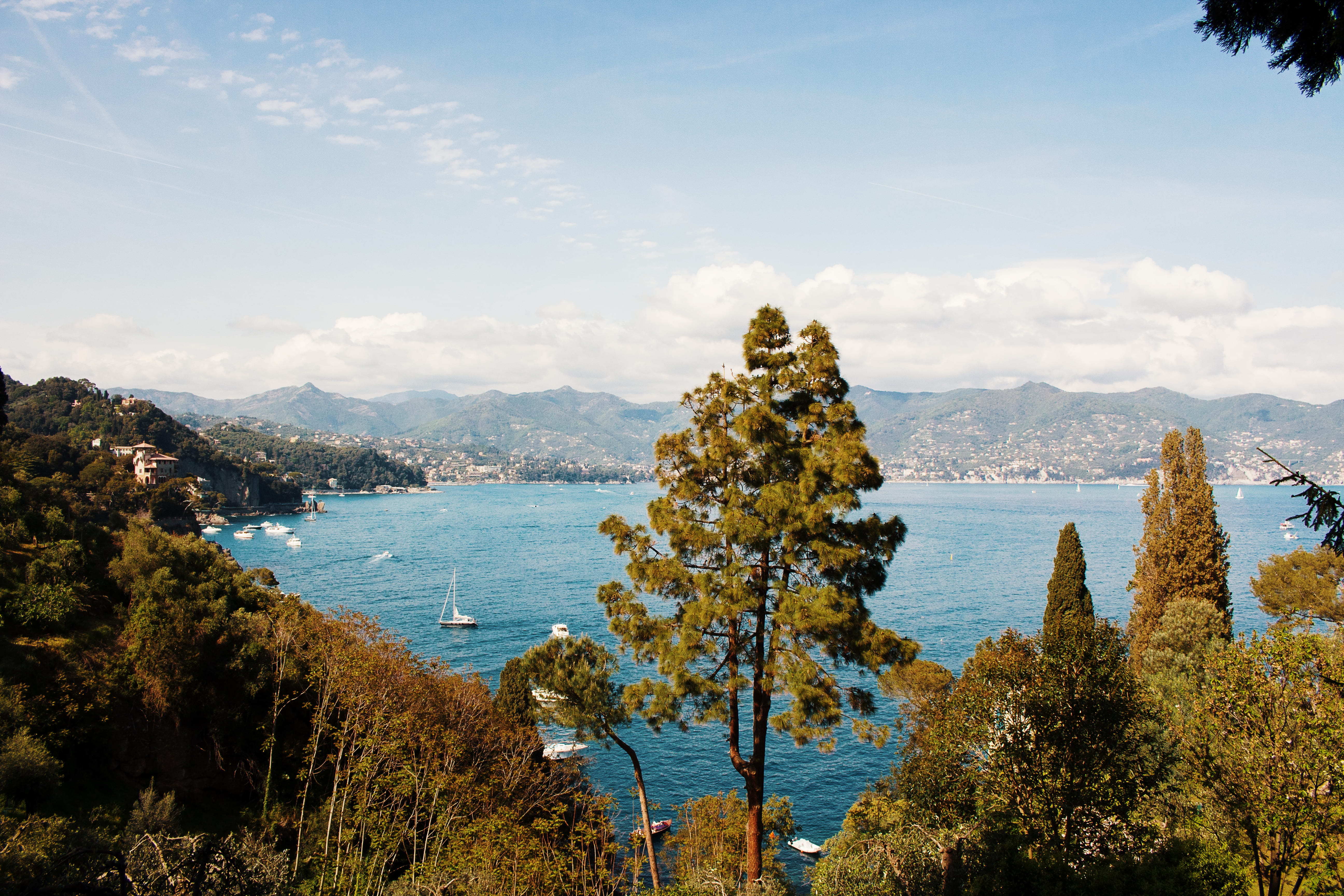 forest, outdoors, lake, water, plant, sea, yacht, italy, ocean, daytime, mountain, growth, landscape, scenics - nature, sunlight, lugurium, trees, woodland, HD Wallpaper