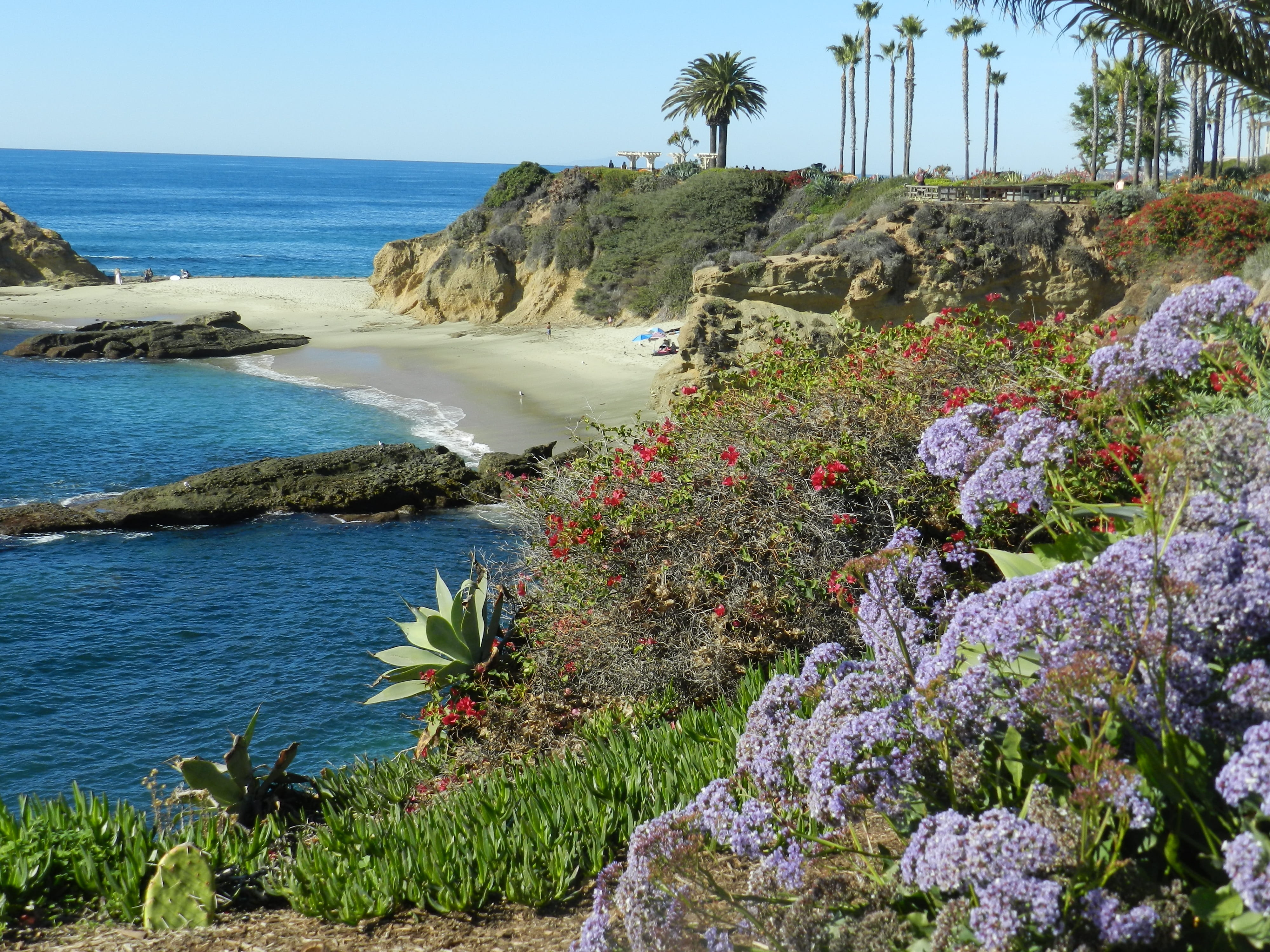 tranquil scene, sea, flowering plant, outdoors, flower, plant, 4K, beauty in nature, nature, horizon over water, rock - object, rock, laguna beach, Ocean, HD Wallpaper