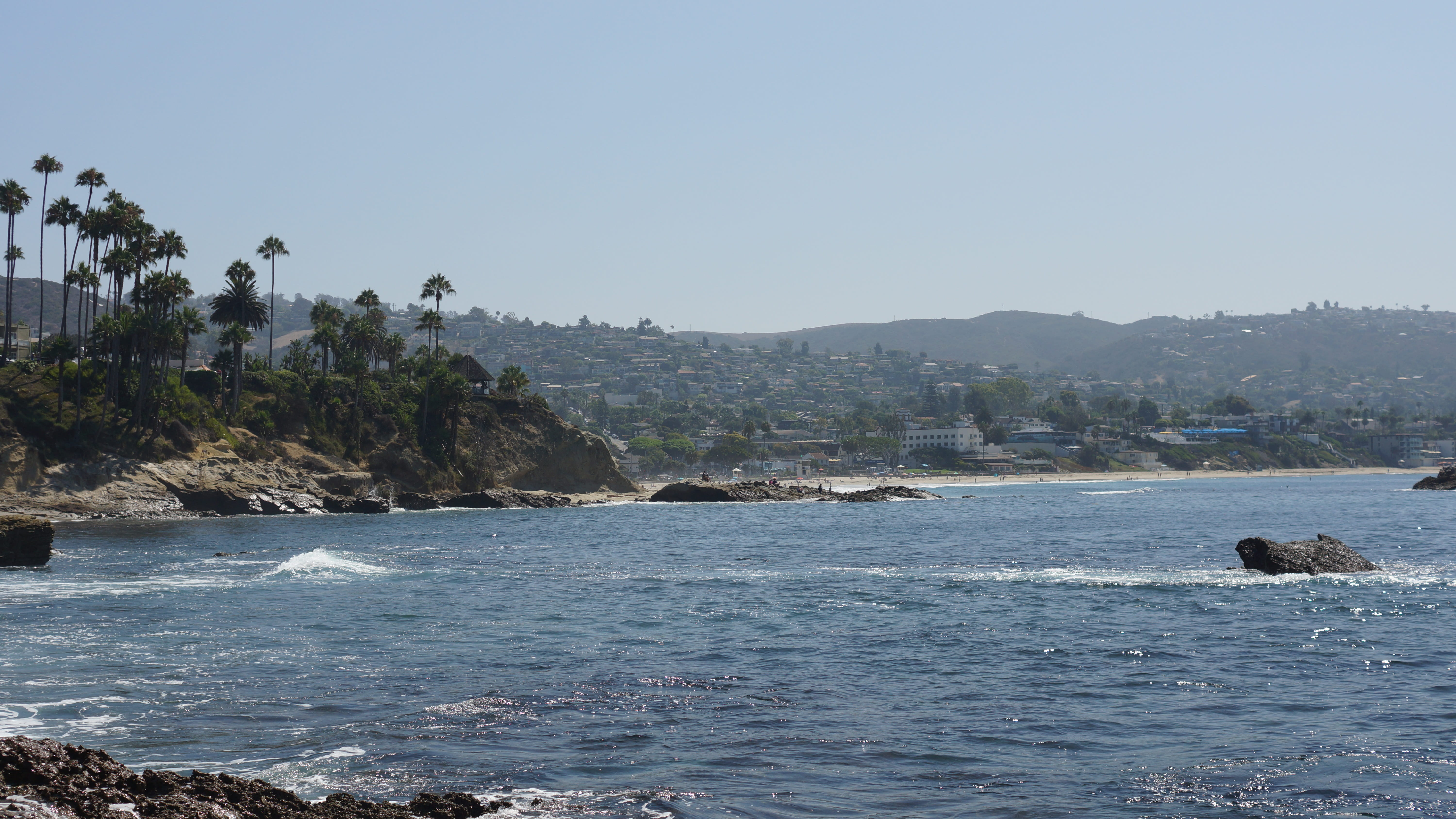 land, day, animal wildlife, rocks, water, coastline, wave, scenic, laguna beach, animal, sky, no people, animals in the wild, clear sky, california, solid, HD Wallpaper