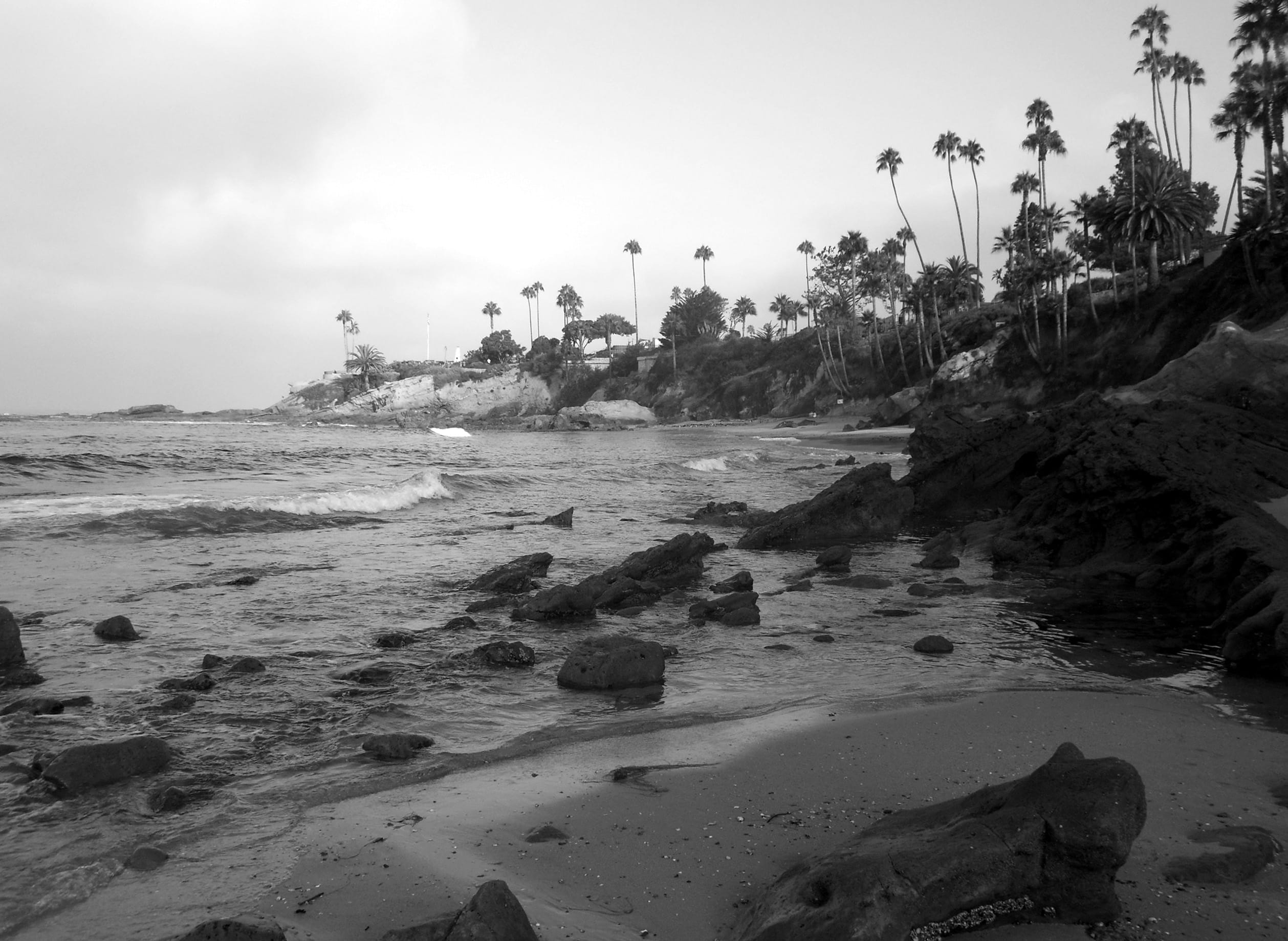 outdoors, water, nature, palm, sand, surf, scenics - nature, coast, tranquility, tree, plant, rocky coastline, ocean, 1080P, black and white, california, HD Wallpaper