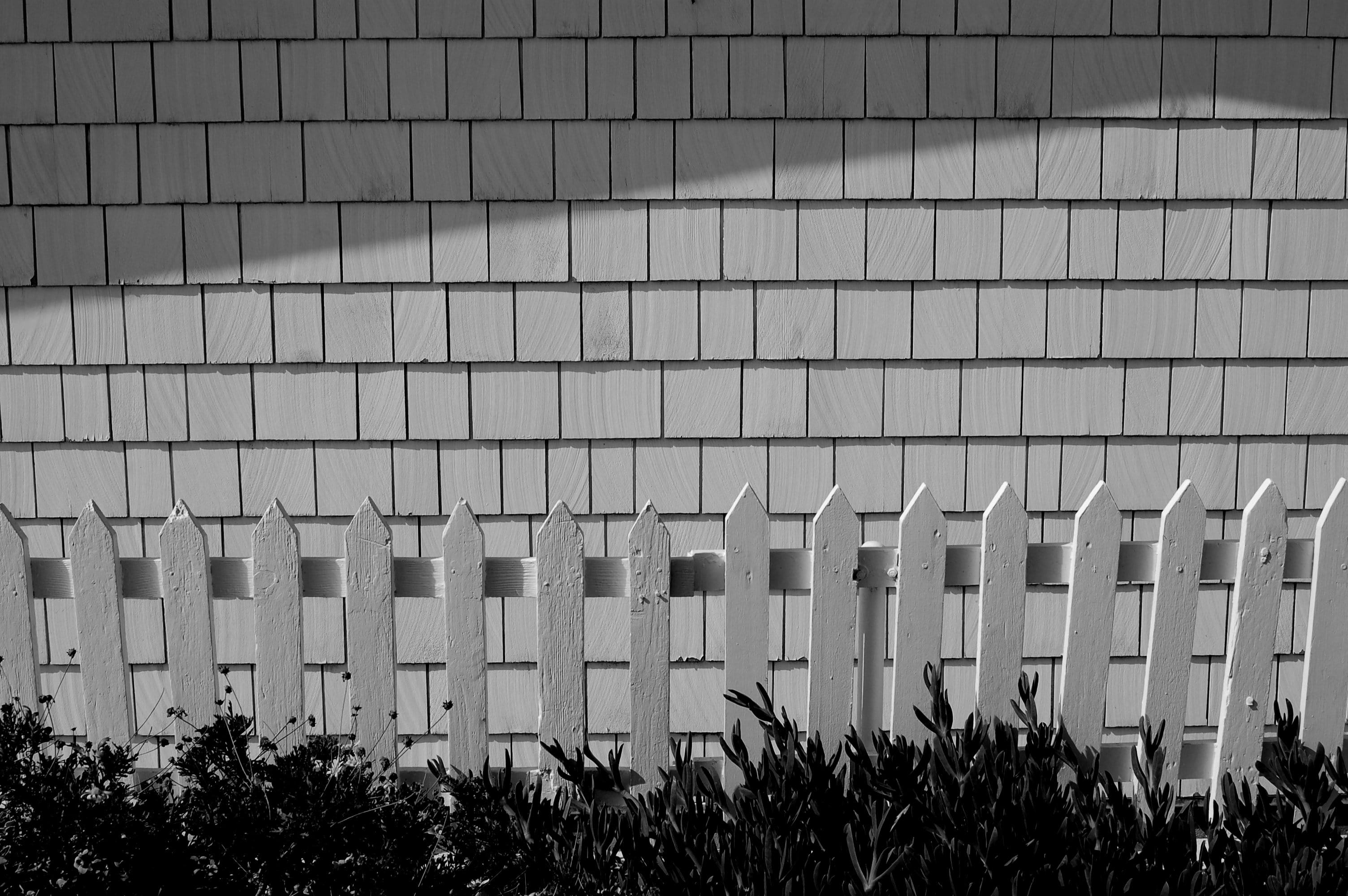 background, plant, b and w, fence, cottage, picket fence, nature, no people, united states, wall - building feature, order, in a row, shingles, greenhouse, HD Wallpaper
