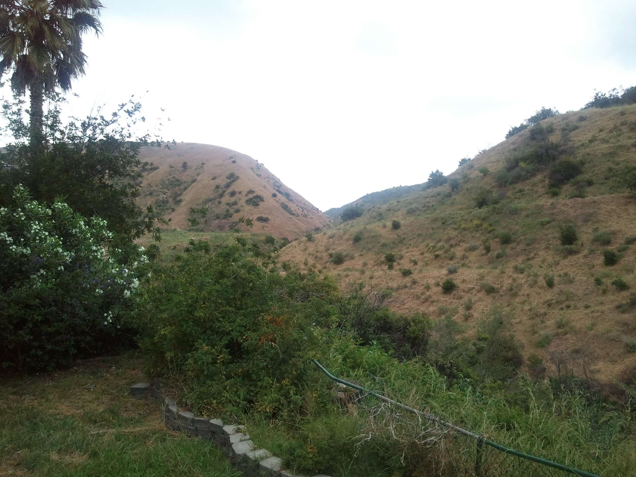 growth, mountain range, day, carbon canyon, land, remote, no people, outdoors, scenics - nature, green color, 2K, landscape, beauty in nature, orange county, HD Wallpaper