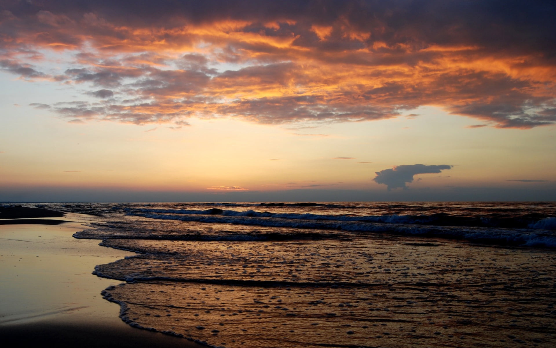 orange Color, sea, seashore, wet, california, cloudscape, water, sky, horizon, sunrise - Dawn, summer, back Lit, non-urban scene, beauty In Nature, color Image, HD Wallpaper