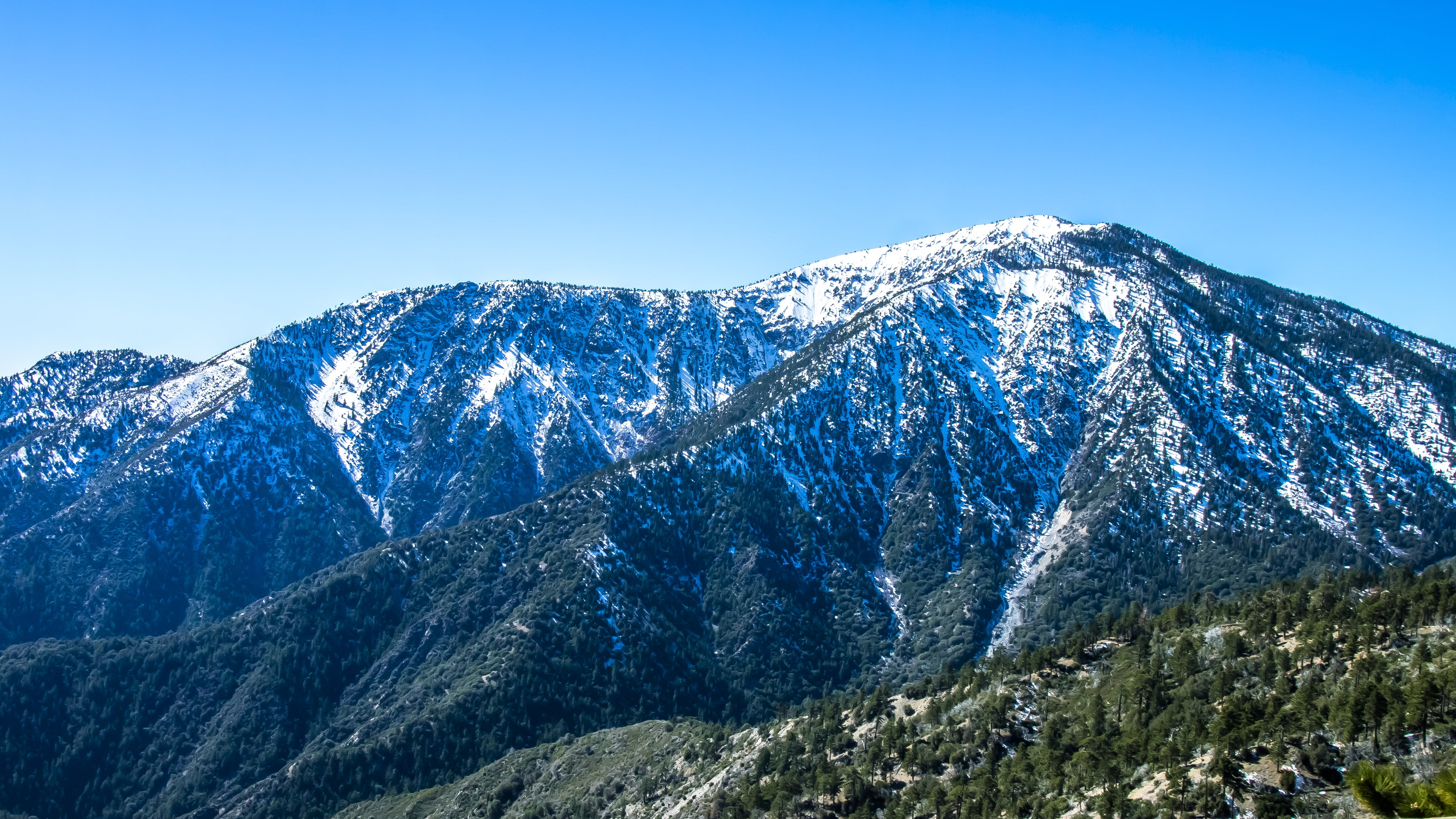 mountain Peak, snow  mountain, leaved, angeles, daytime, inspiration  point, beauty, nature, southern  California, tree, Angeles National Forest, winter, HD Wallpaper