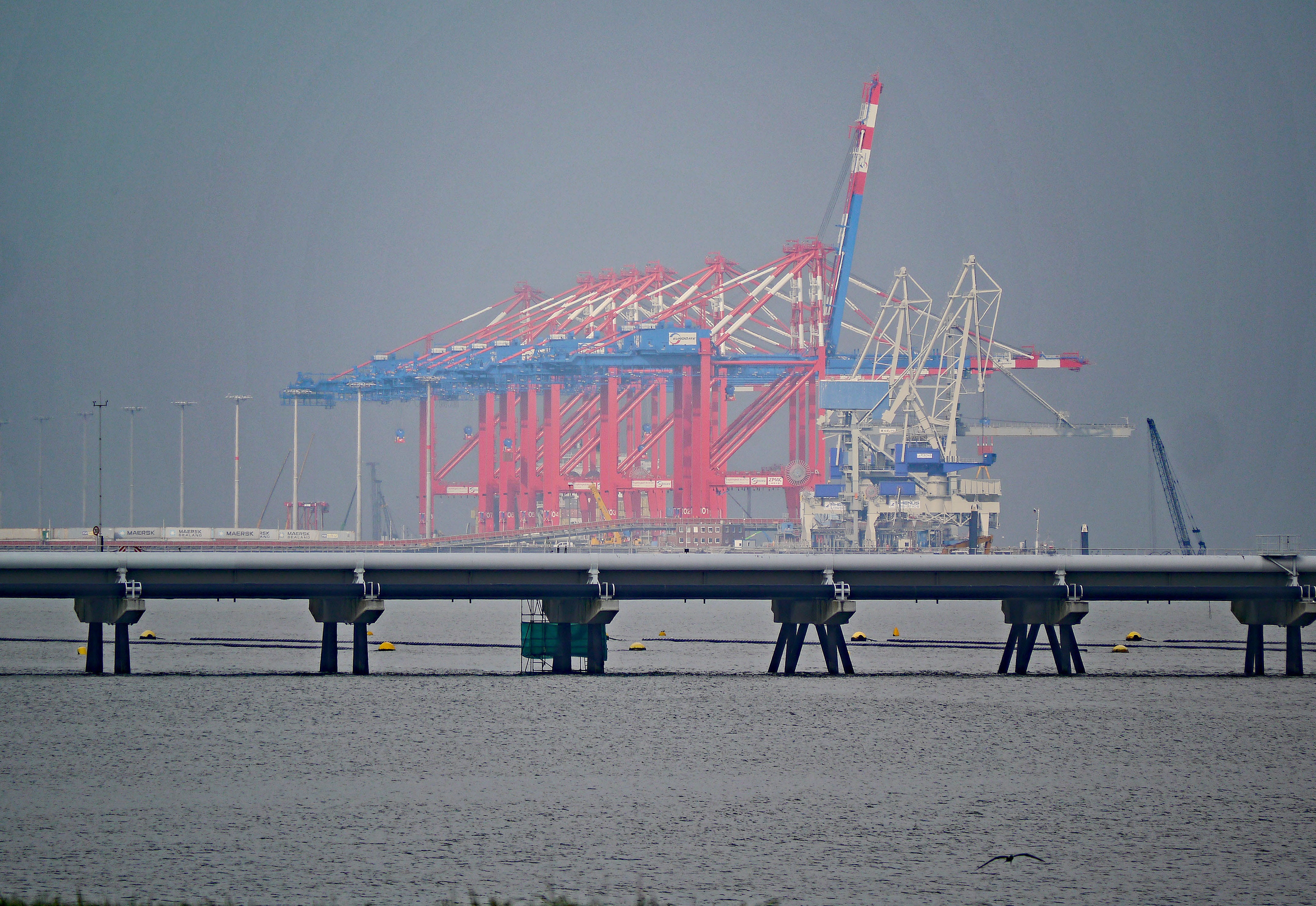 transport, men, technology, Haze, discharge, 4K, jade, envelope, loading, industry, investors, sky, real people, crane - construction machinery, land, HD Wallpaper