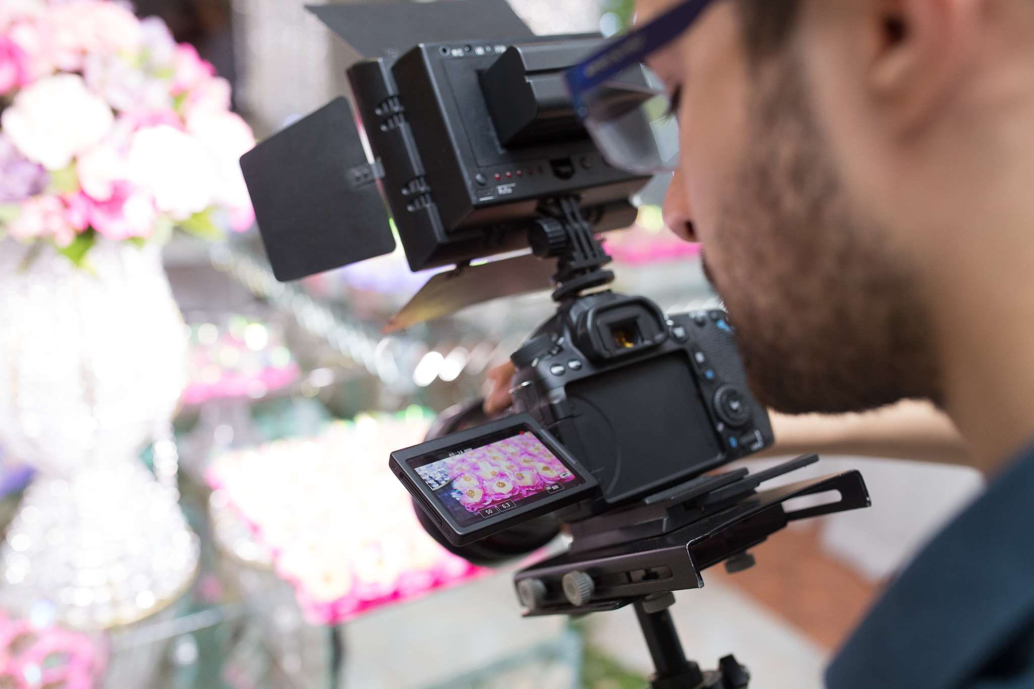 home video camera, professional occupation, blue flowers, 1080P, television industry, artificial flowers, beautiful flowers, close-up, photography themes, HD Wallpaper