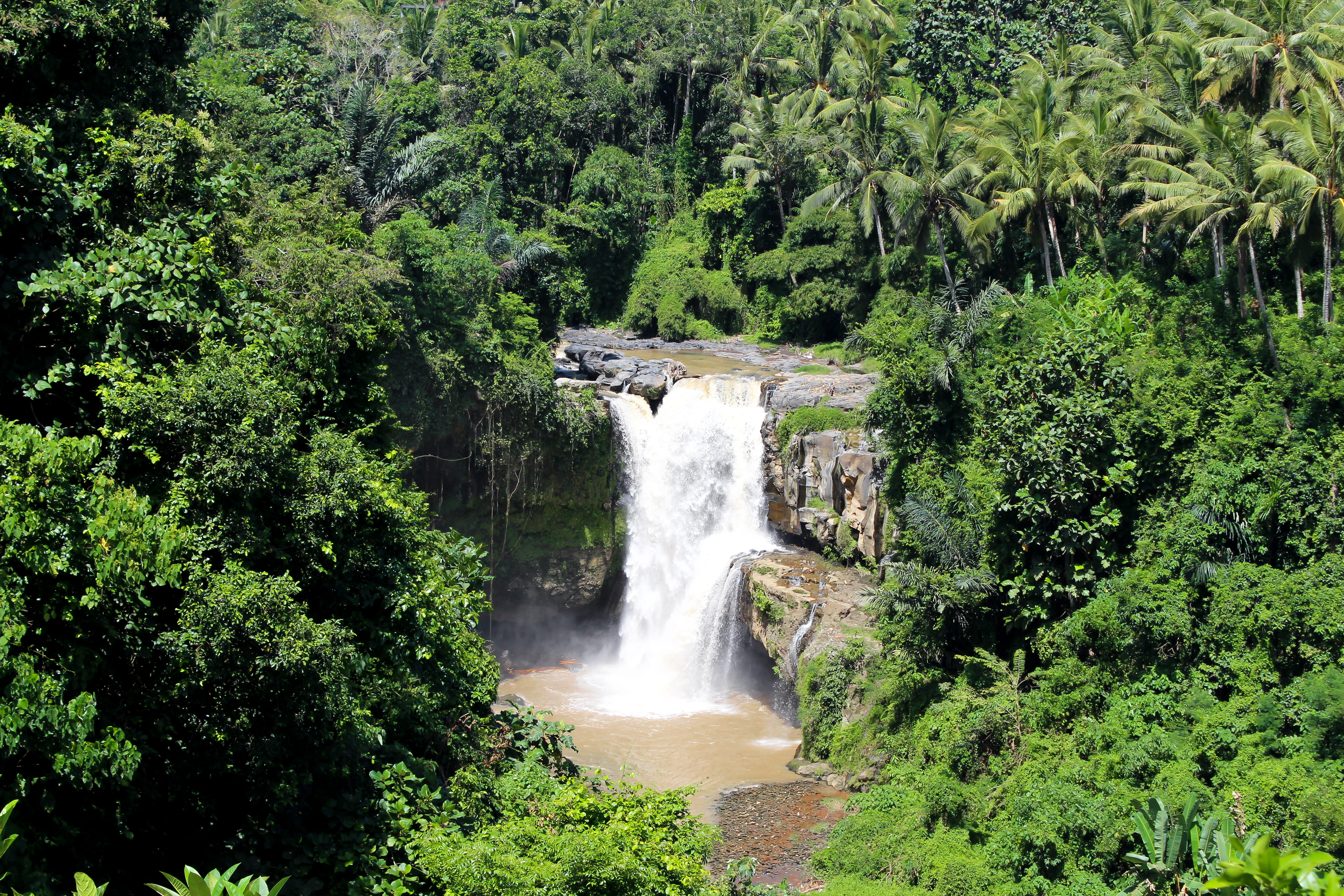 foliage, palmtrees, beauty in nature, tranquil scene, waterfall, flowing water, land, power in nature, no people, ubud, nature, outdoors, scenics - nature, HD Wallpaper